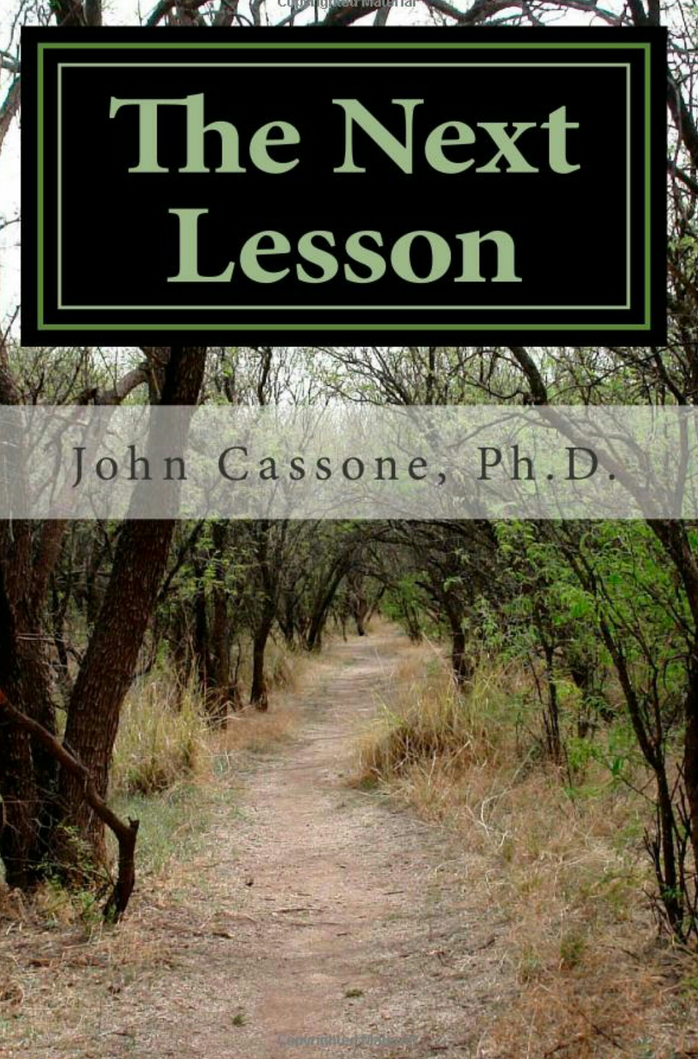 Cover for The Next Lesson