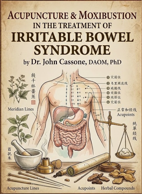 Cover for Acupuncture & Moxibustion in the Treatment of Irritable Bowel Syndrome