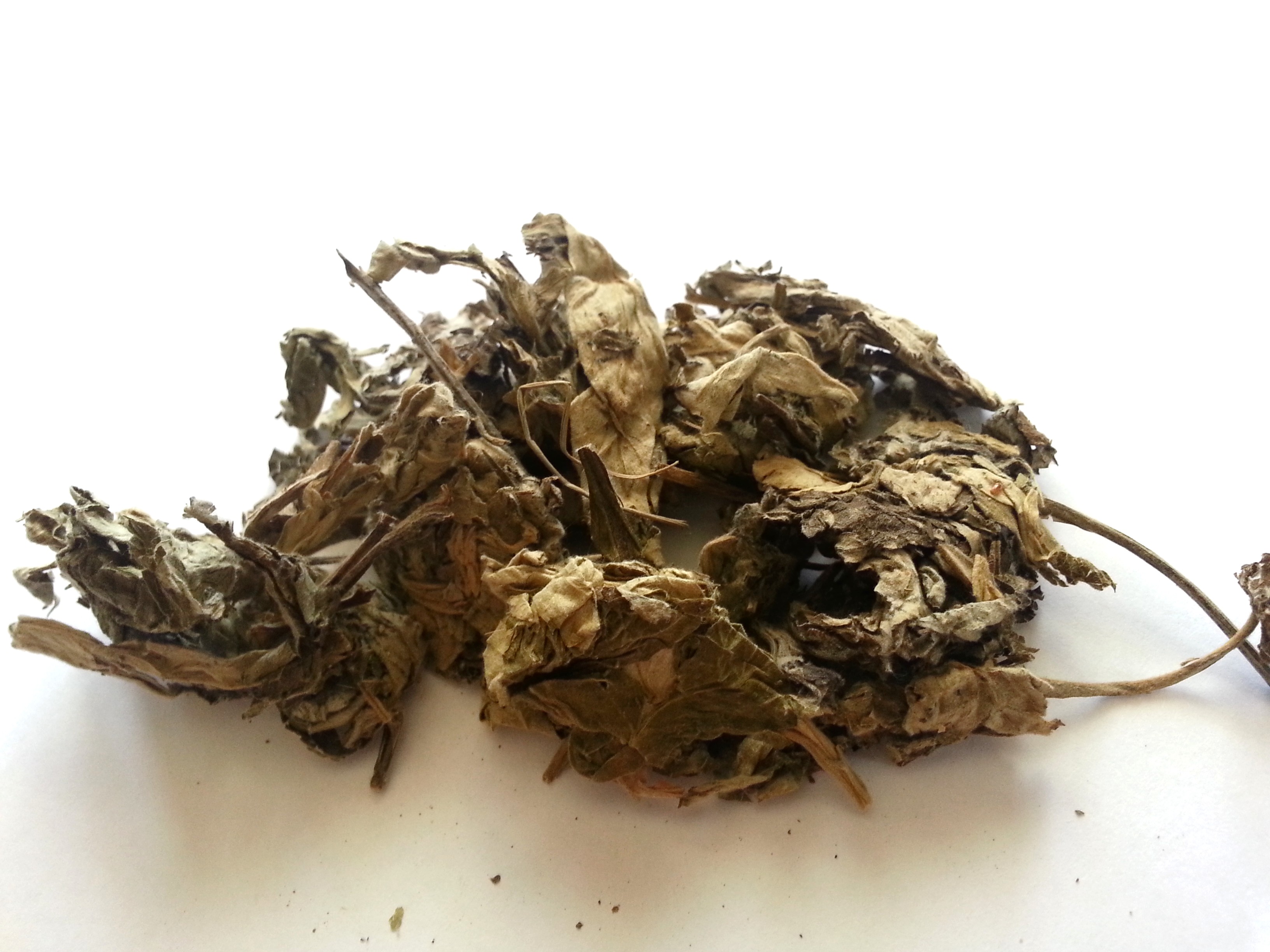 ai ye, artemisiae argyii folium .jpg