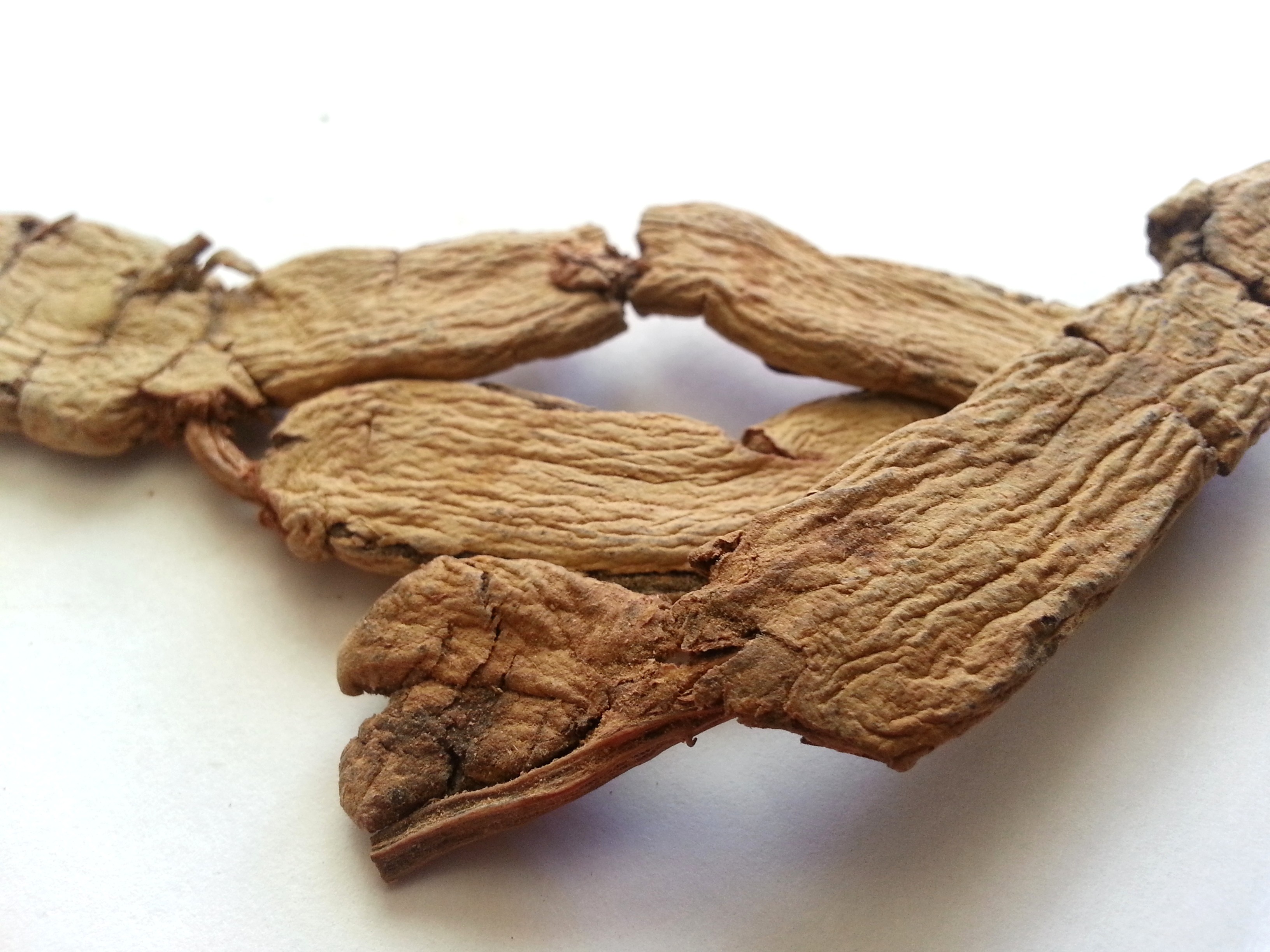 ba ji tian, morindae officinalis radix.jpg