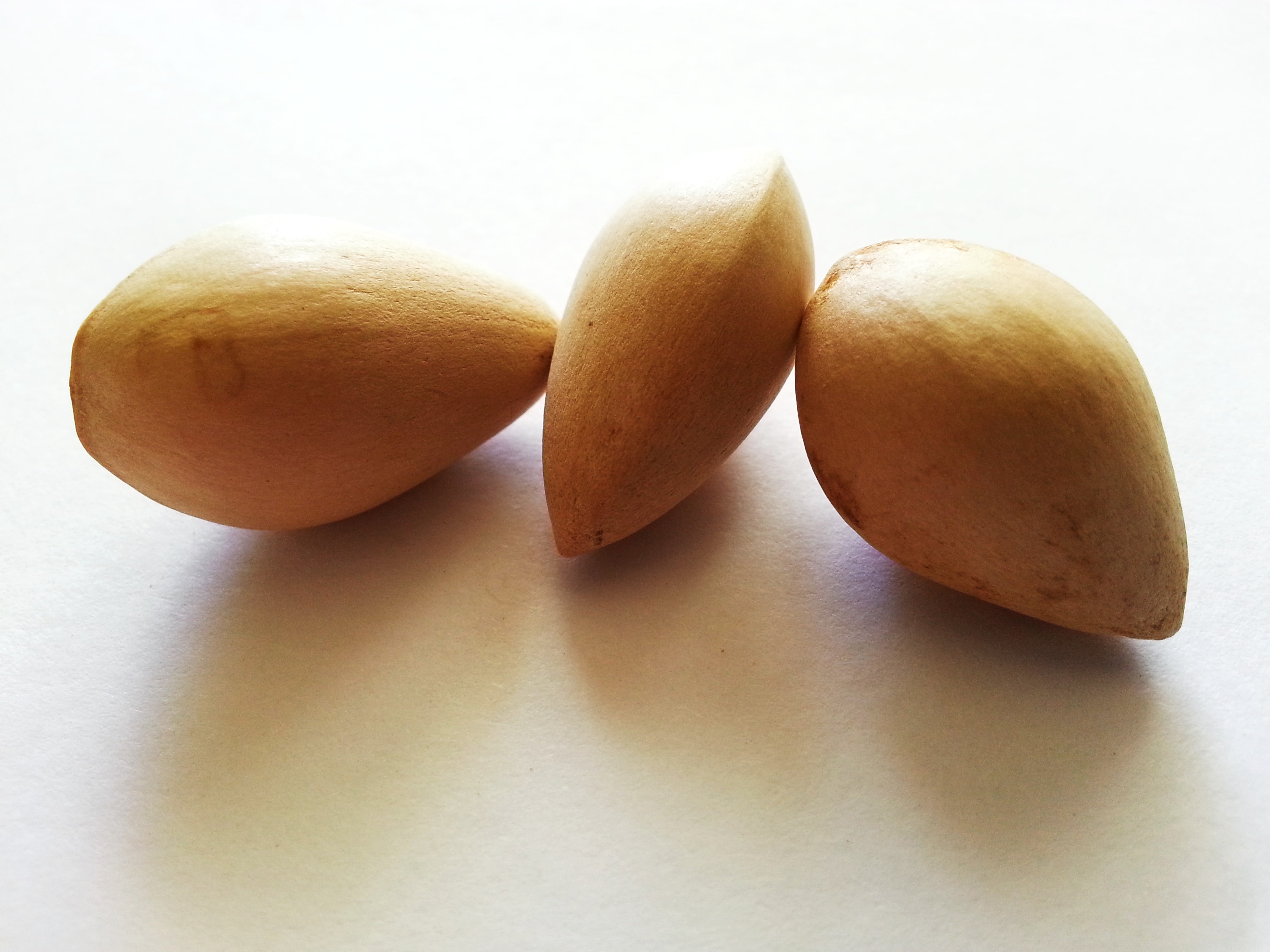 bai guo, ginkgo semen.jpg