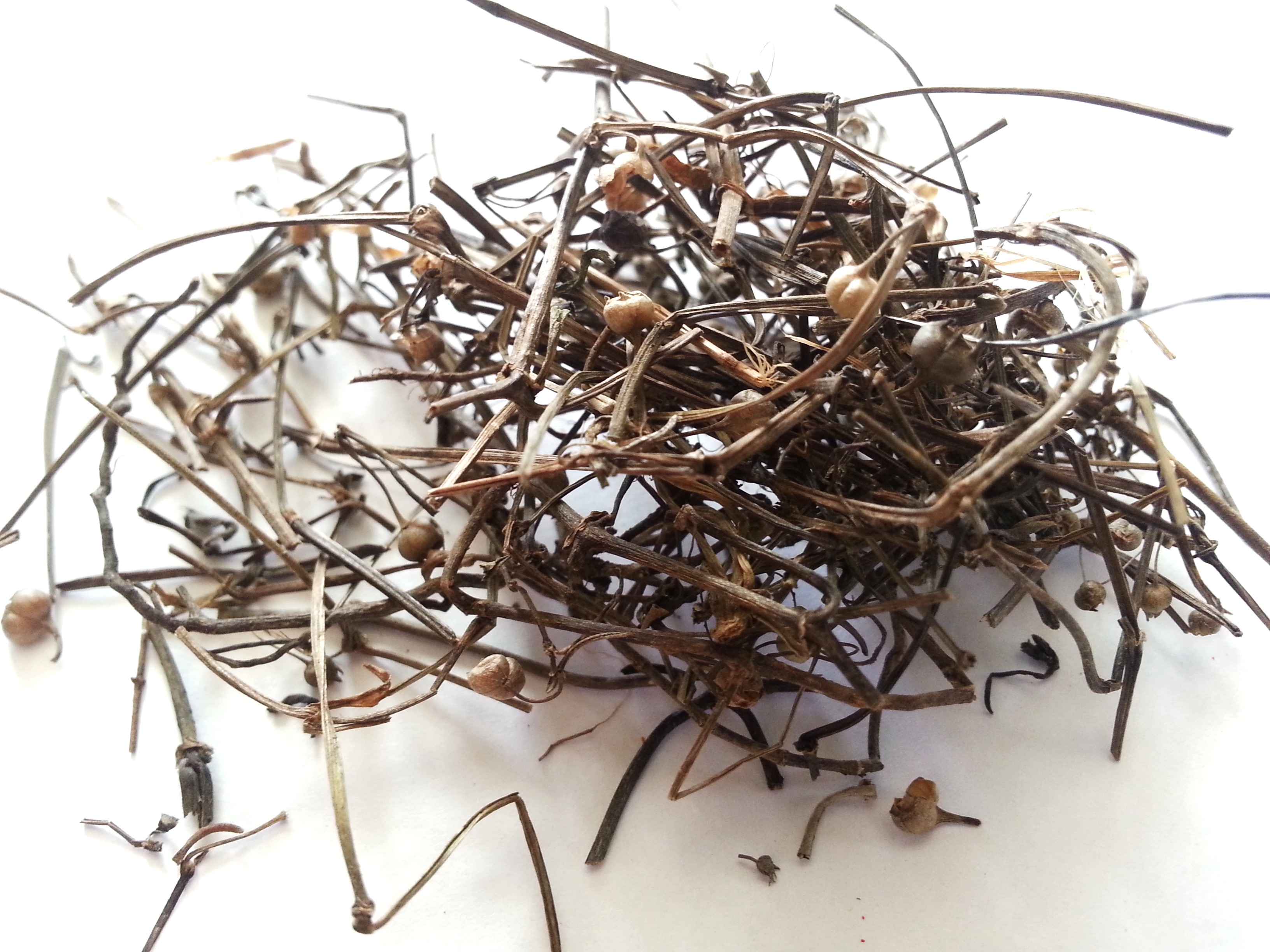 bai hua she she cao, hedyotis diffusae herba.jpg