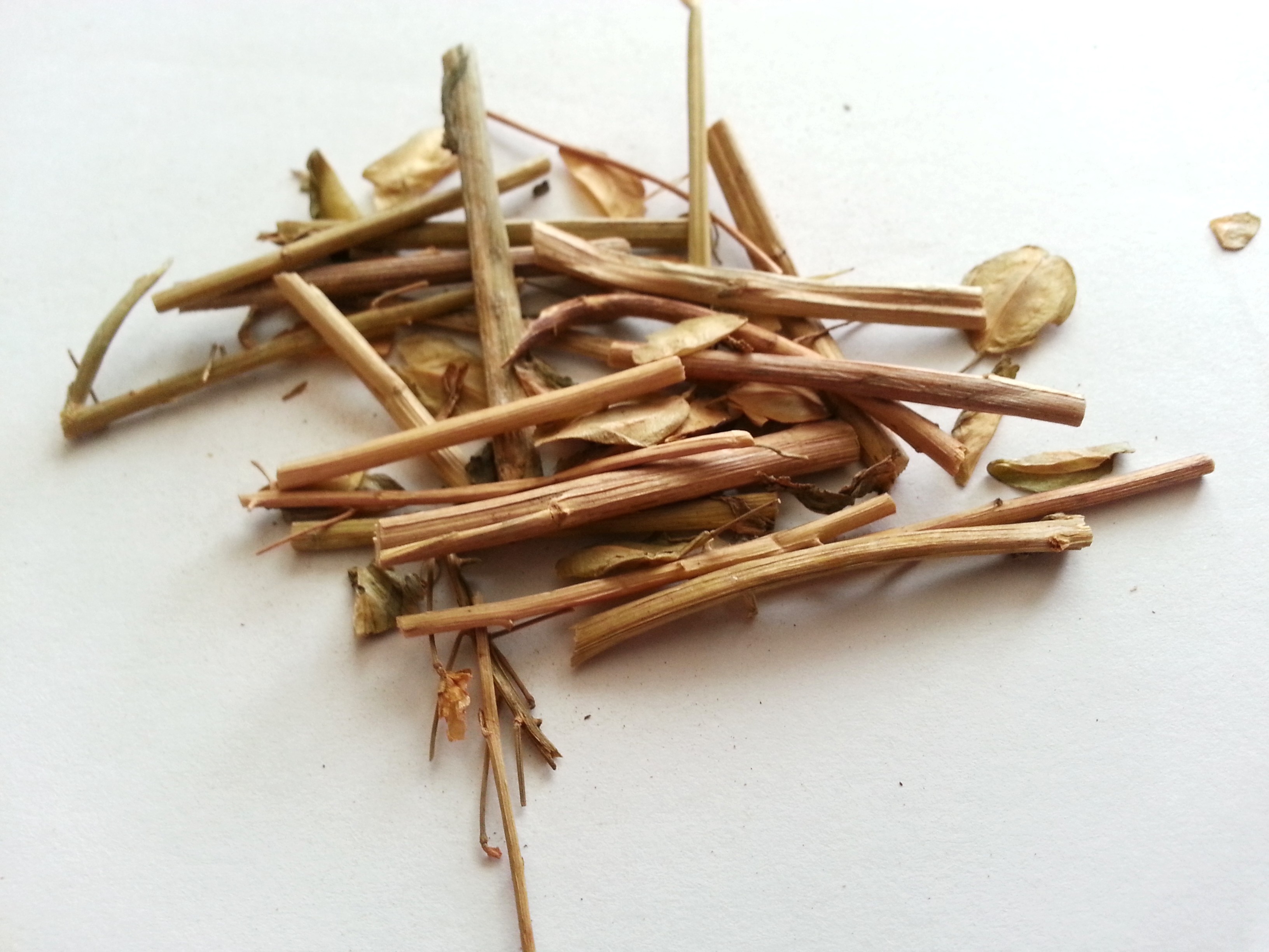 bai jiang cao, patriniae herba.jpg