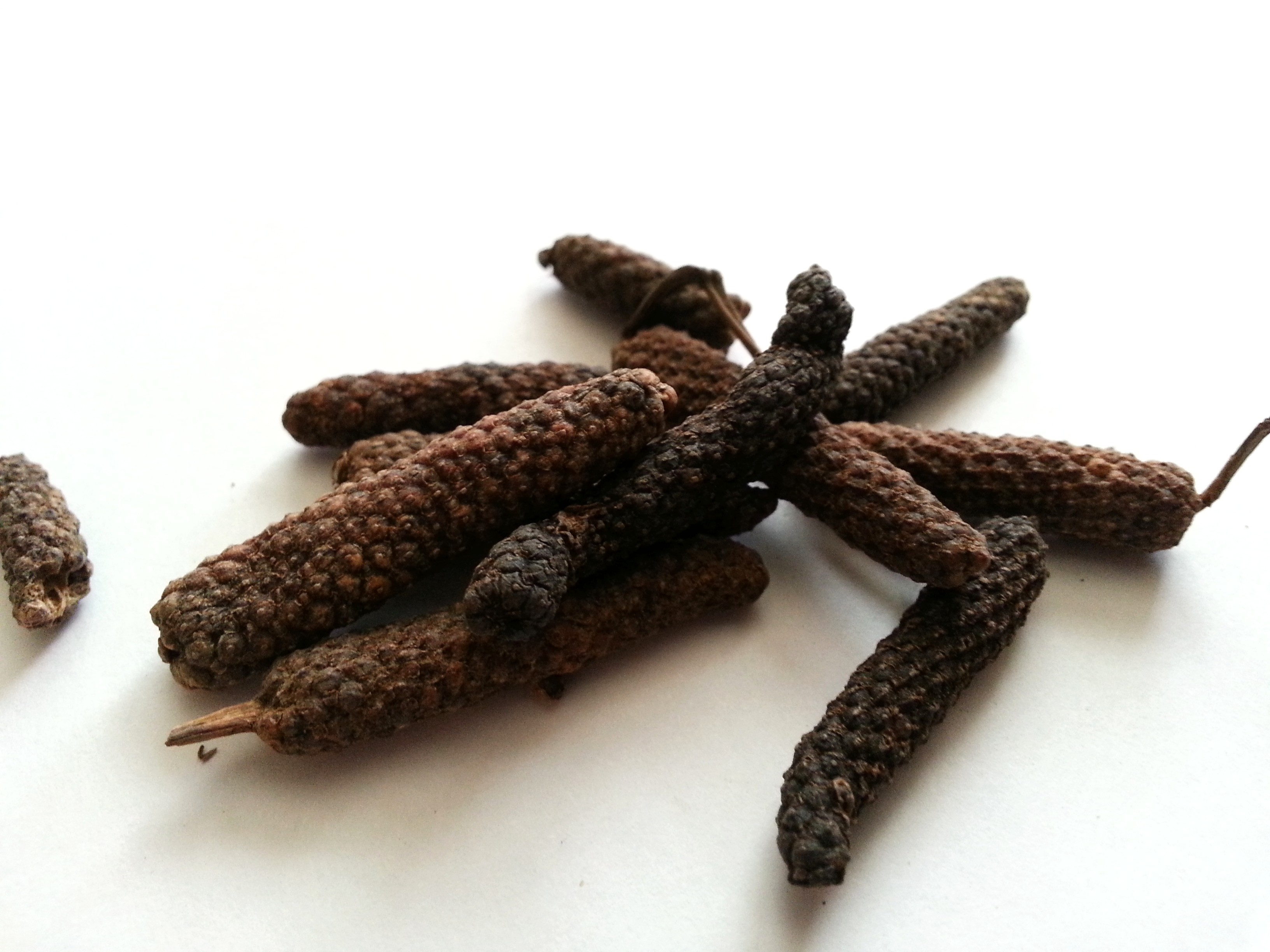 bi ba, piperis longi fructus.jpg
