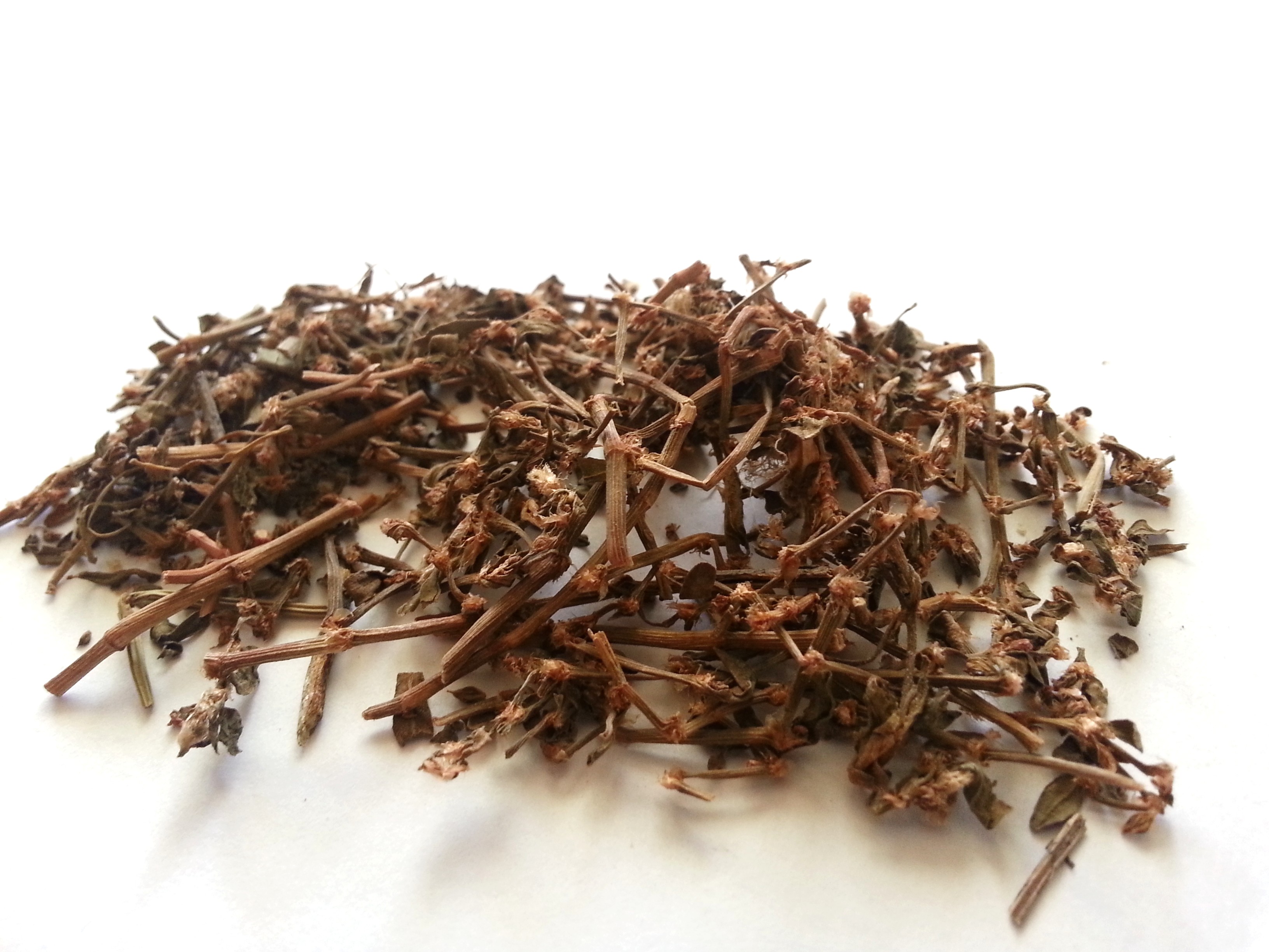 bian xu, polygoni avicularis herba.jpg
