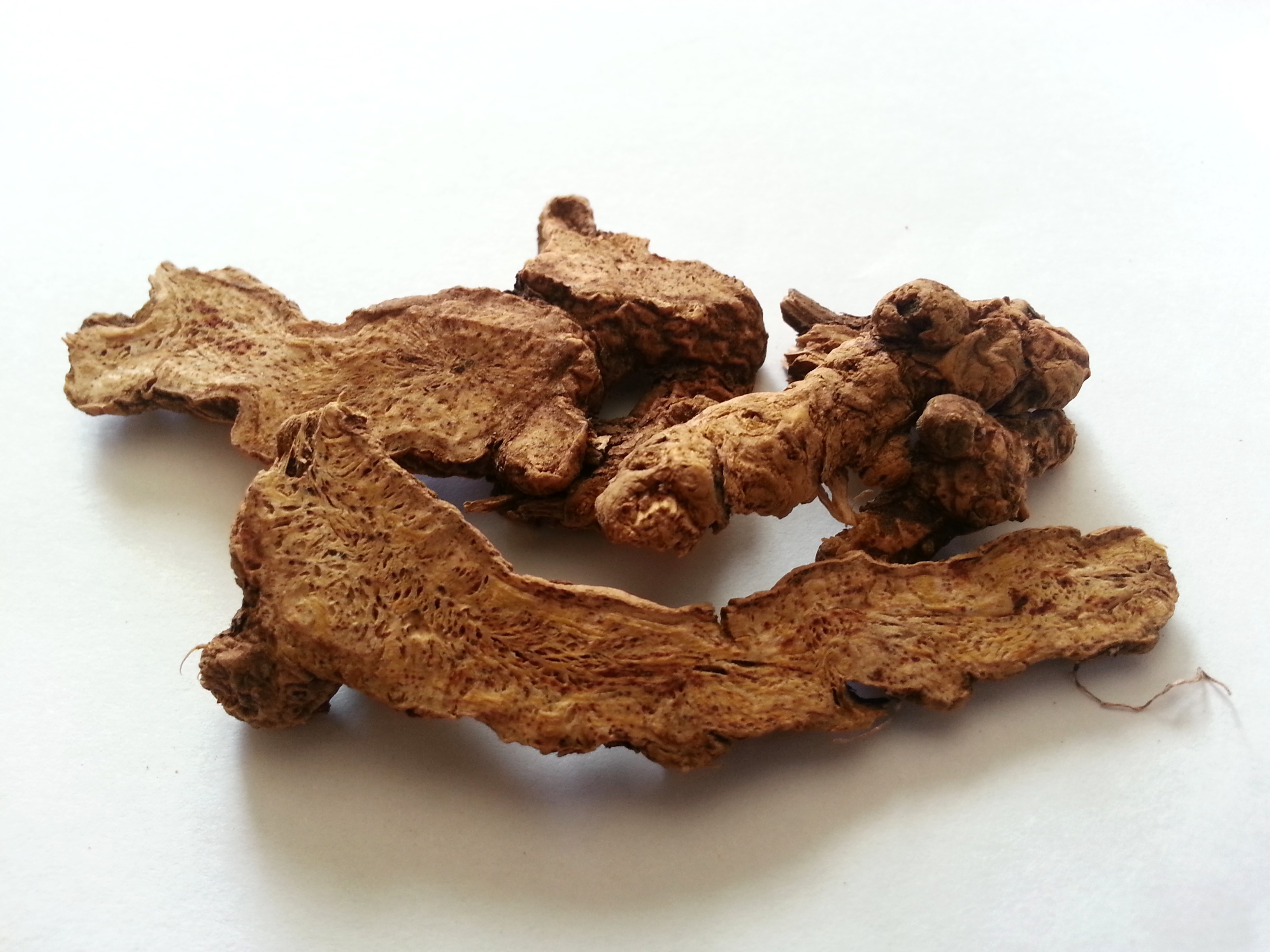 cang zhu, atractylodis rhizoma.jpg