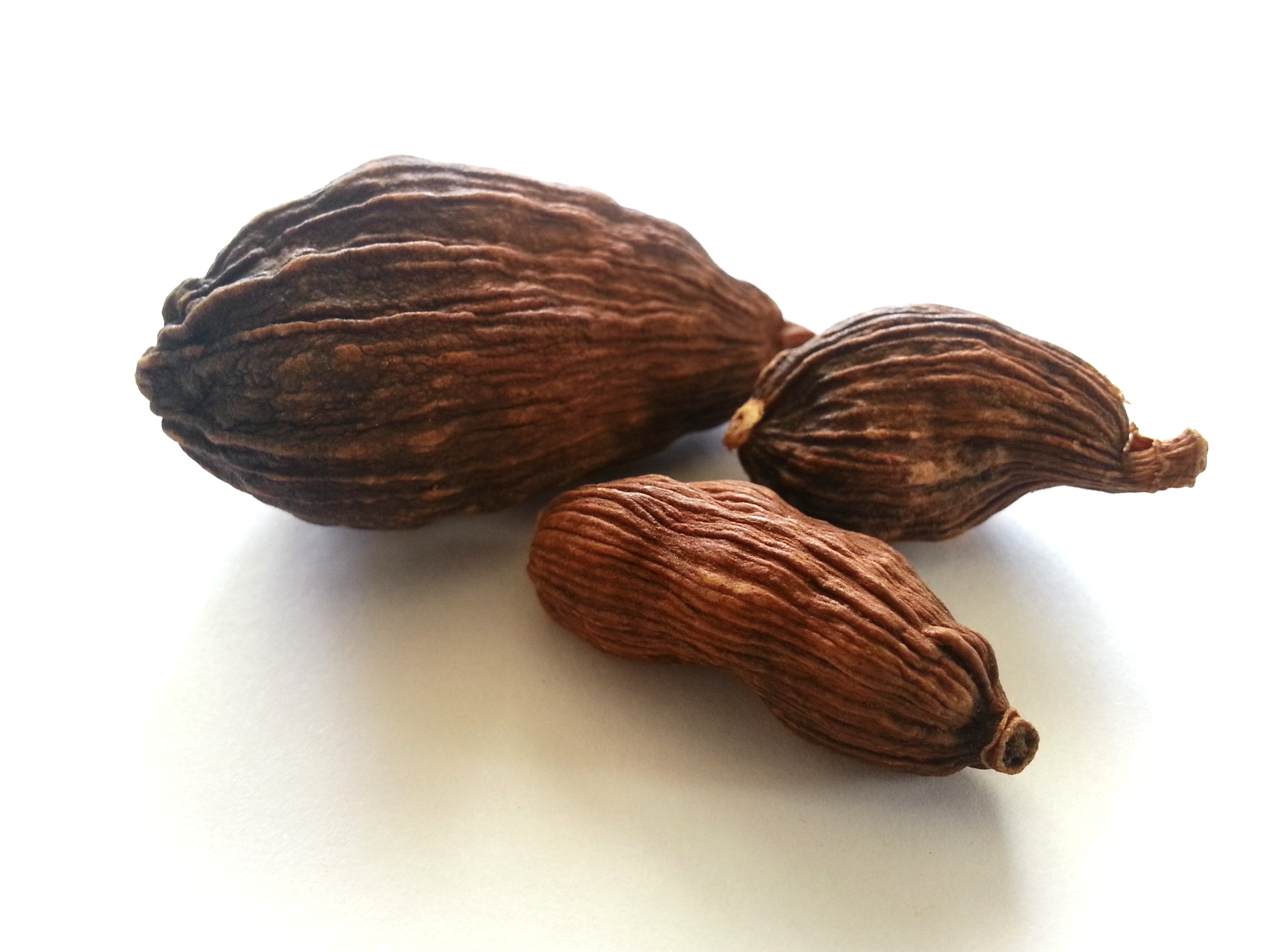 cao guo, tsaoko fructus.jpg