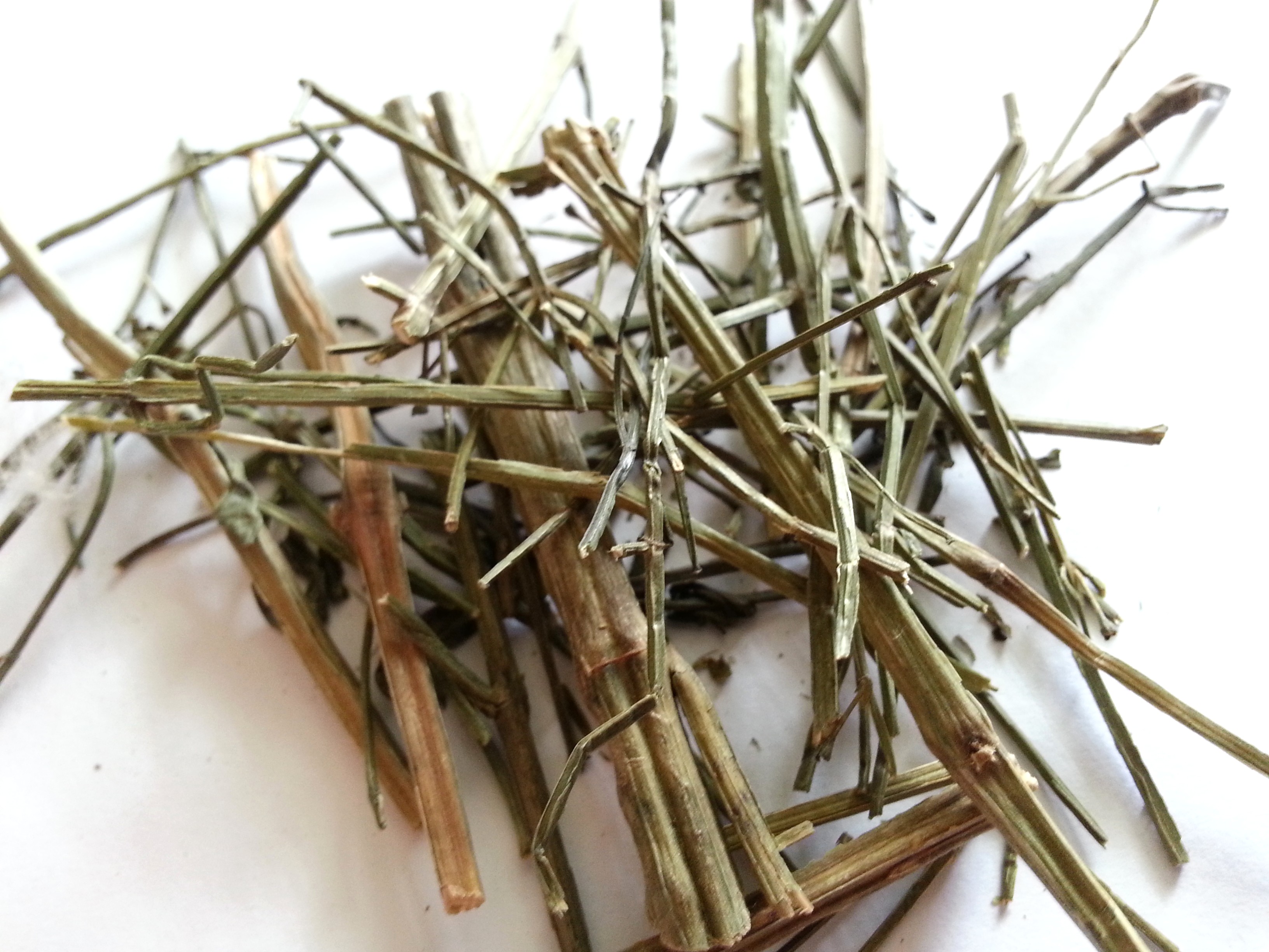 chuan xin lian, andrographitis herba.jpg