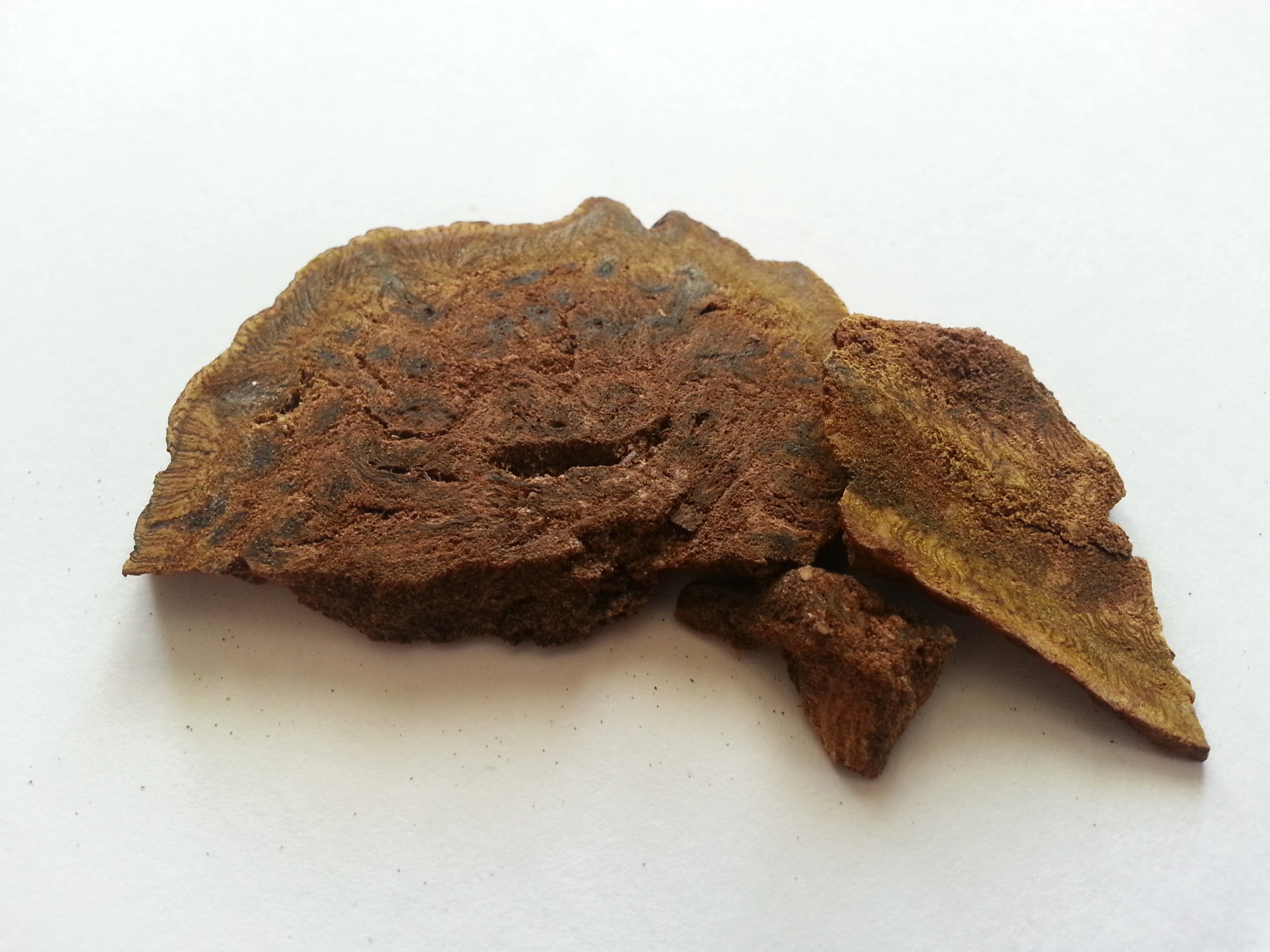 da huang, rhei radix et rhizoma.jpg