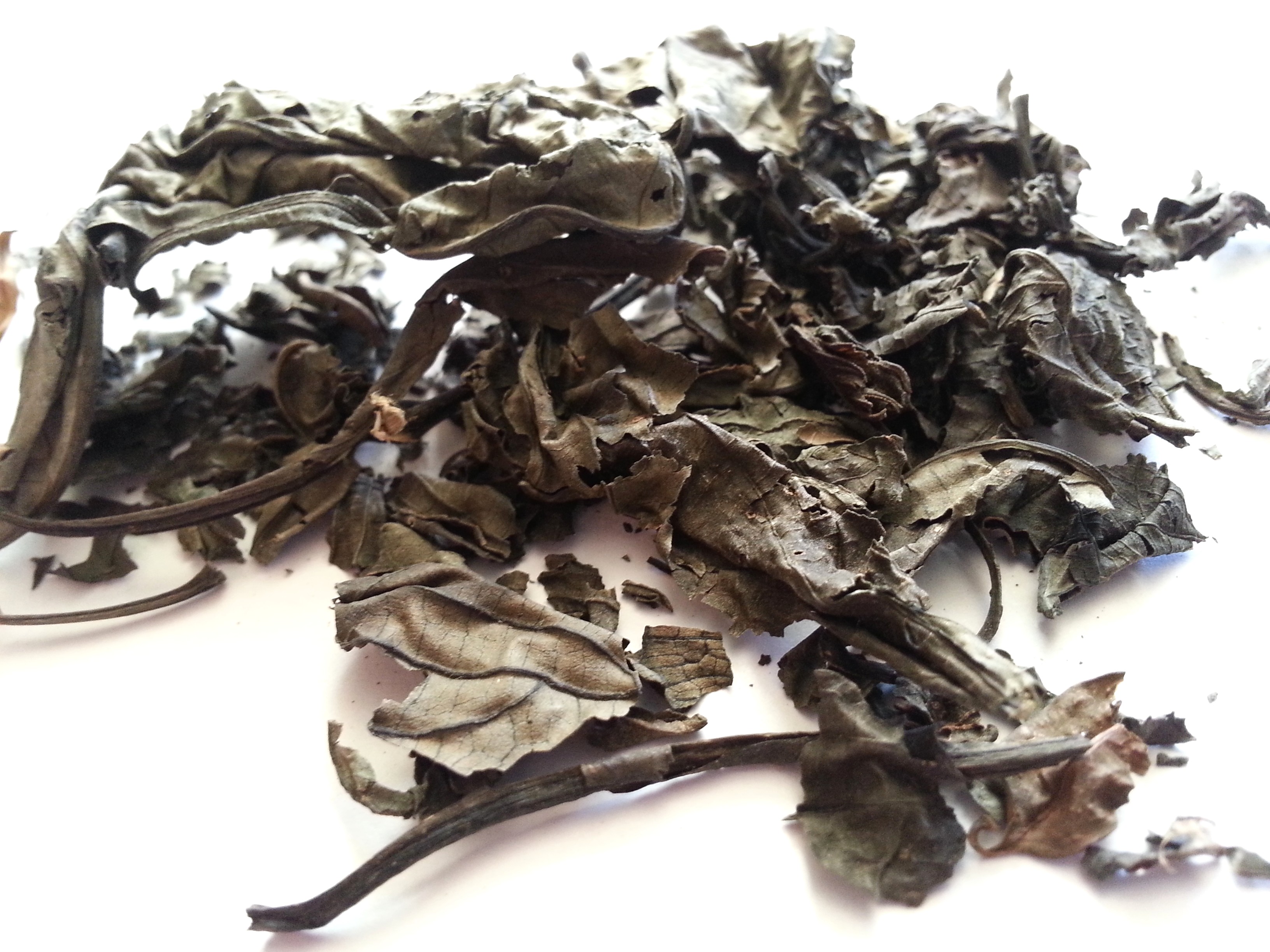 da qing ye, isatidis folium.jpg
