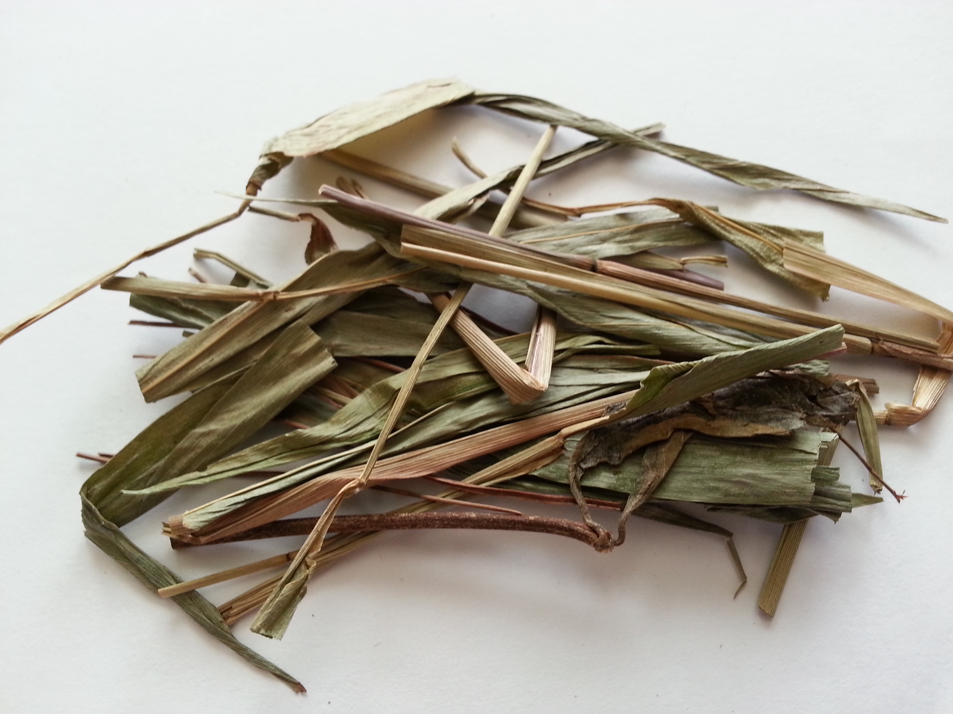 dan zhu ye, lophateri herba.jpg