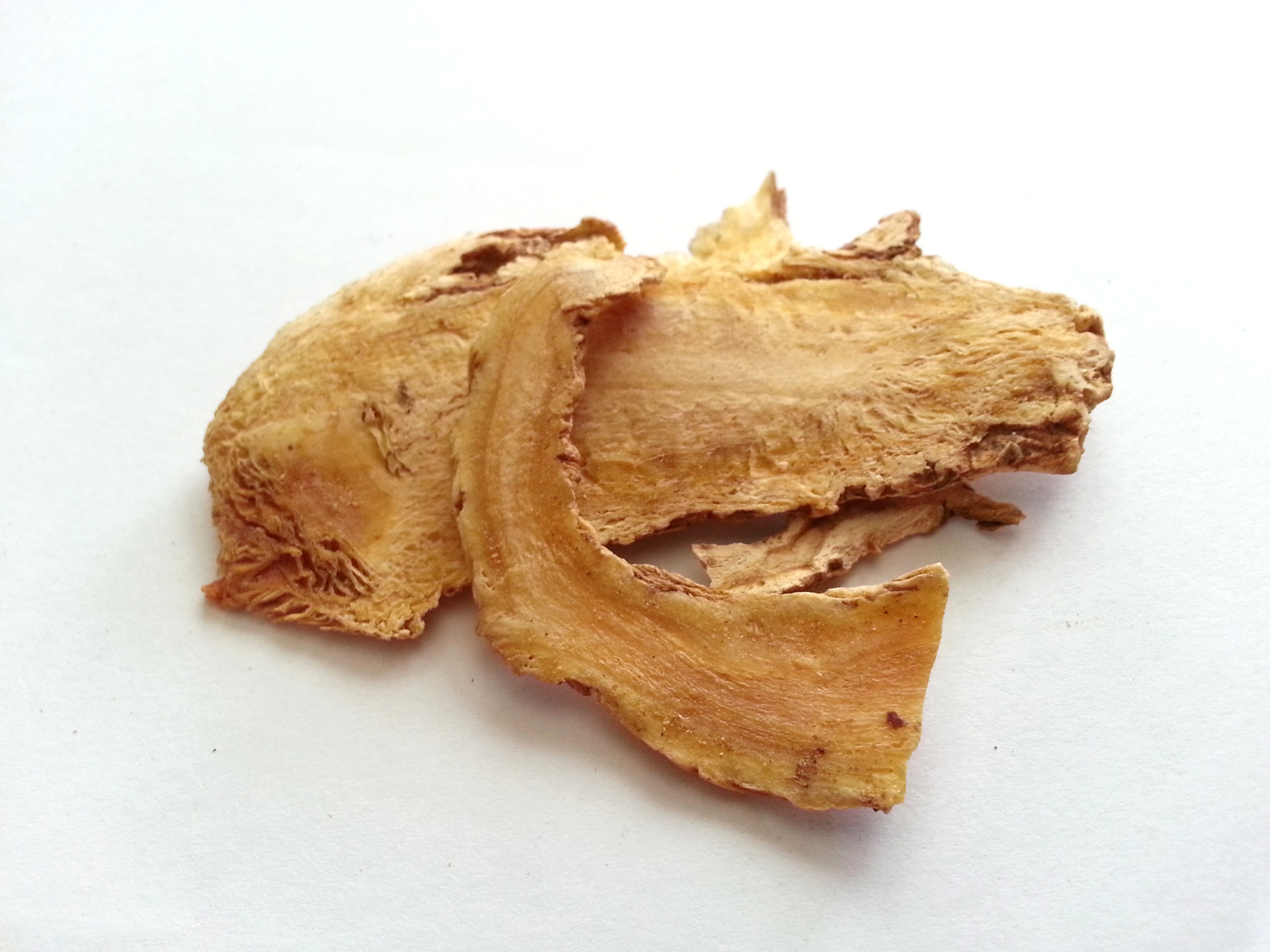 du huo, angelicae pubescentis radix.jpg