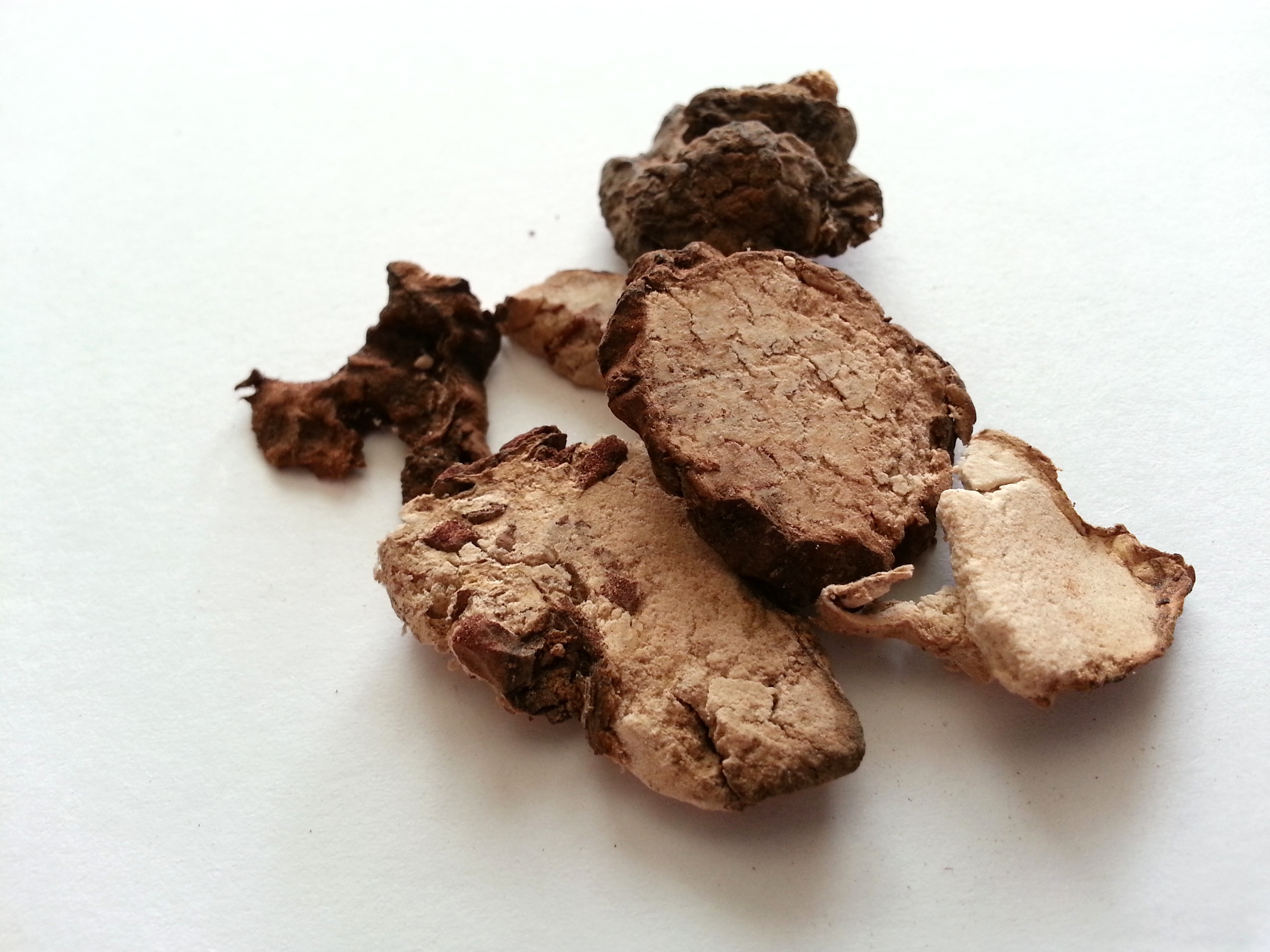 fu shen, poriae sclerotium pararadicis.jpg
