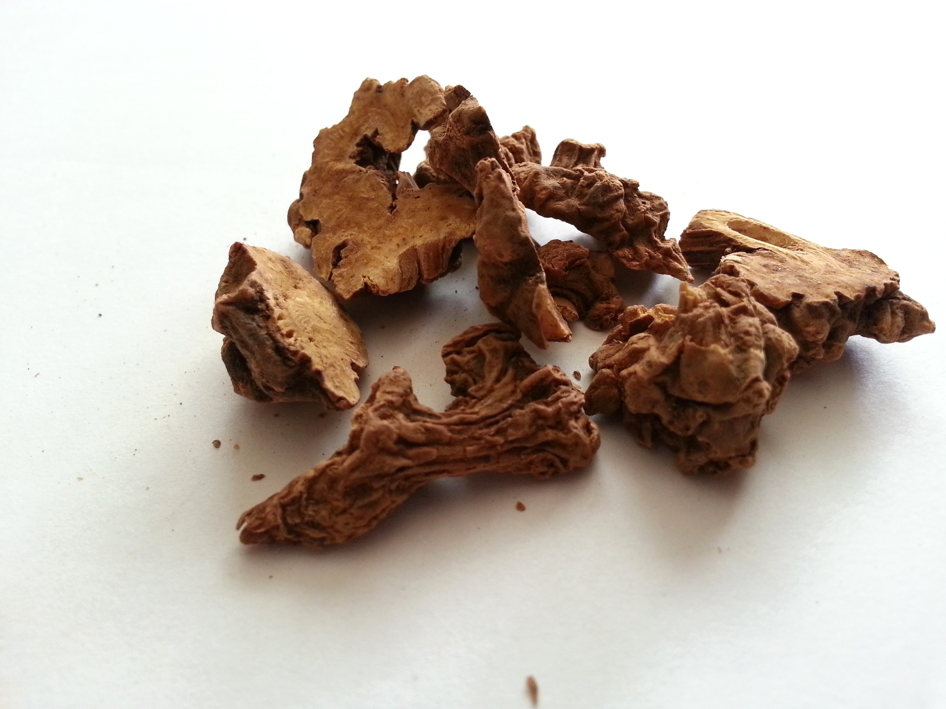 gao ben, ligustici rhizoma.jpg
