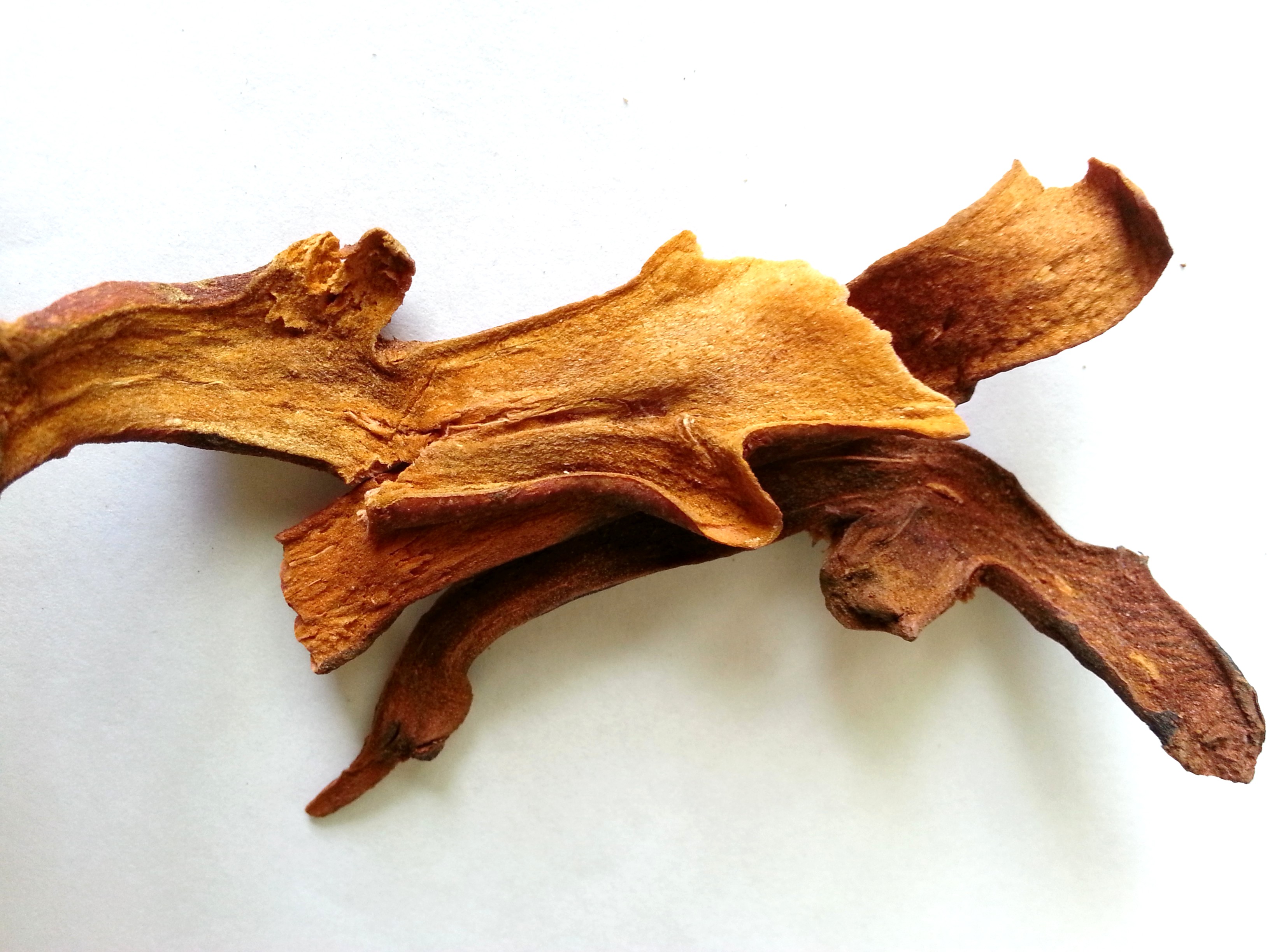 gu sui bu, drynariae rhizoma.jpg