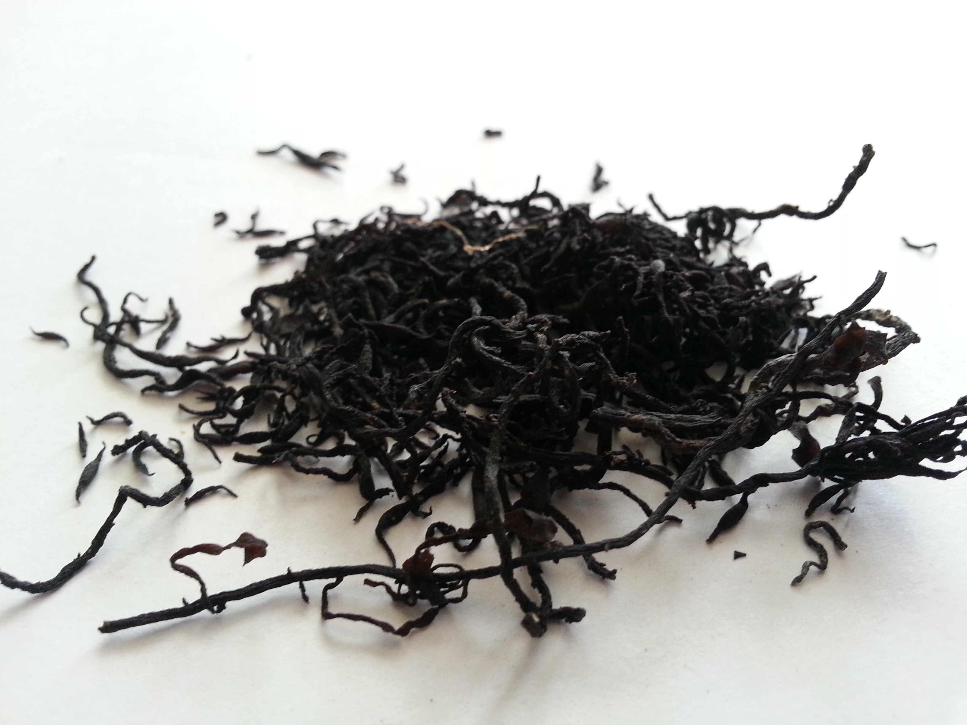 hai zao, sargassum.jpg