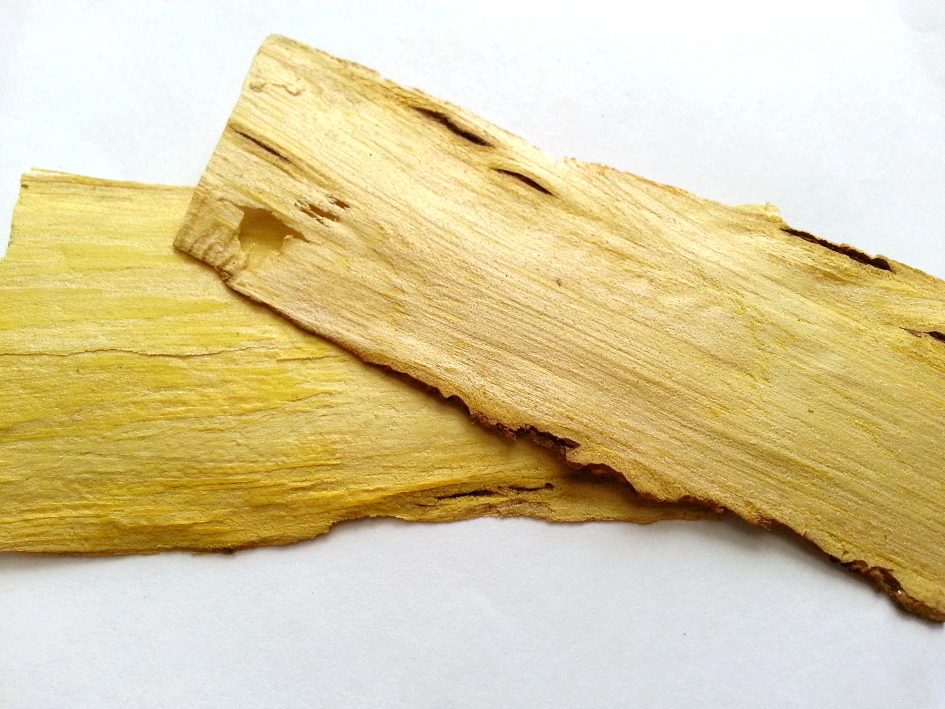 huang bai. phellodendri cortex.jpg