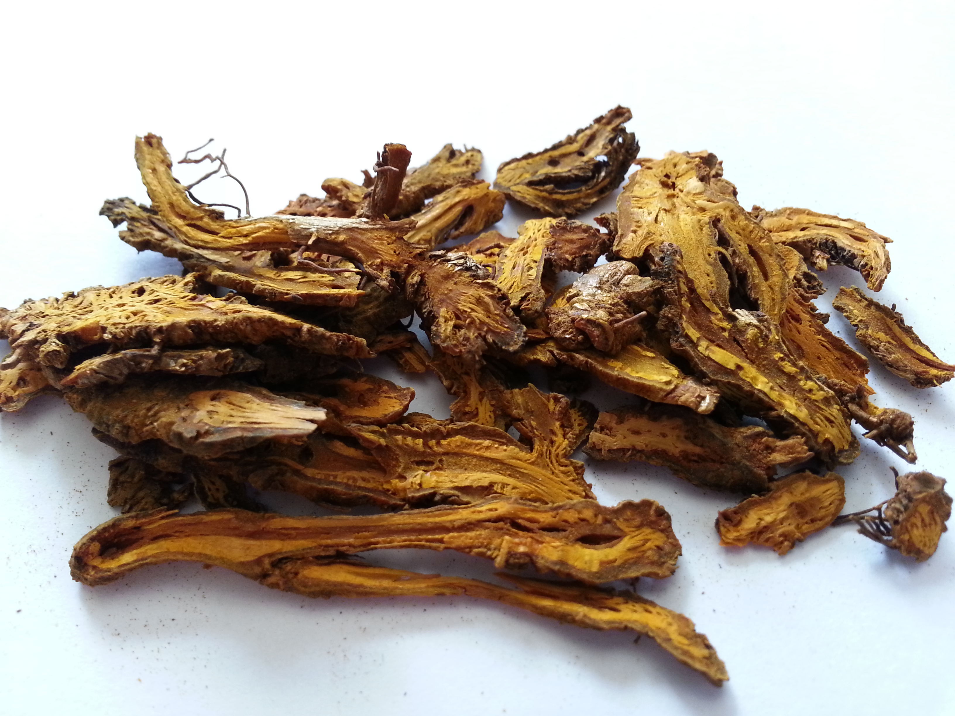 huang lian, coptidis rhizoma.jpg