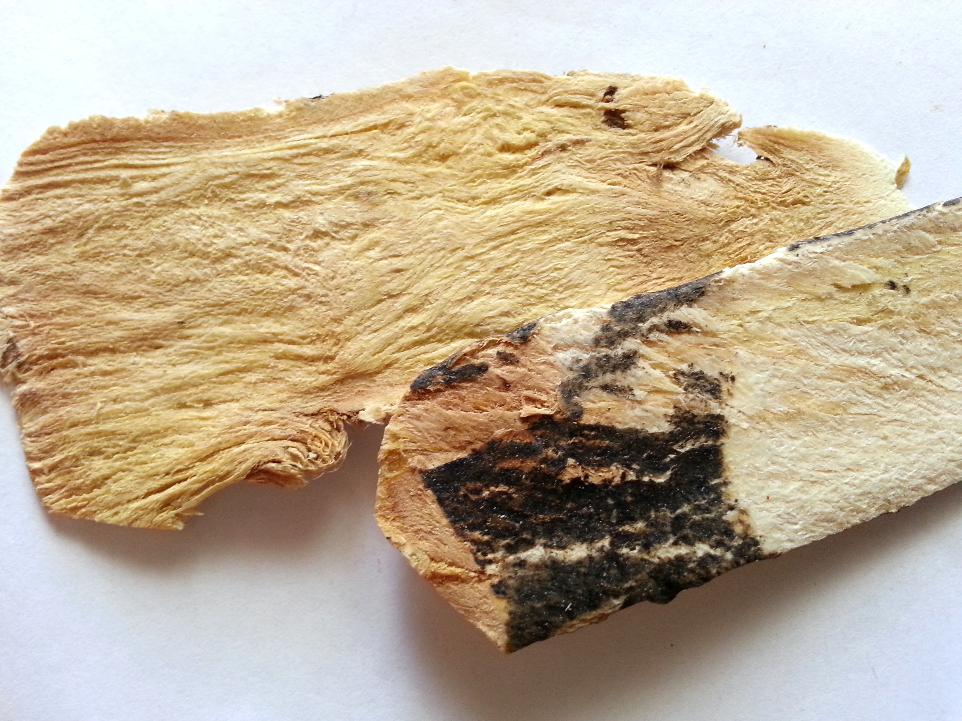 huang qi, astragali radix.jpg
