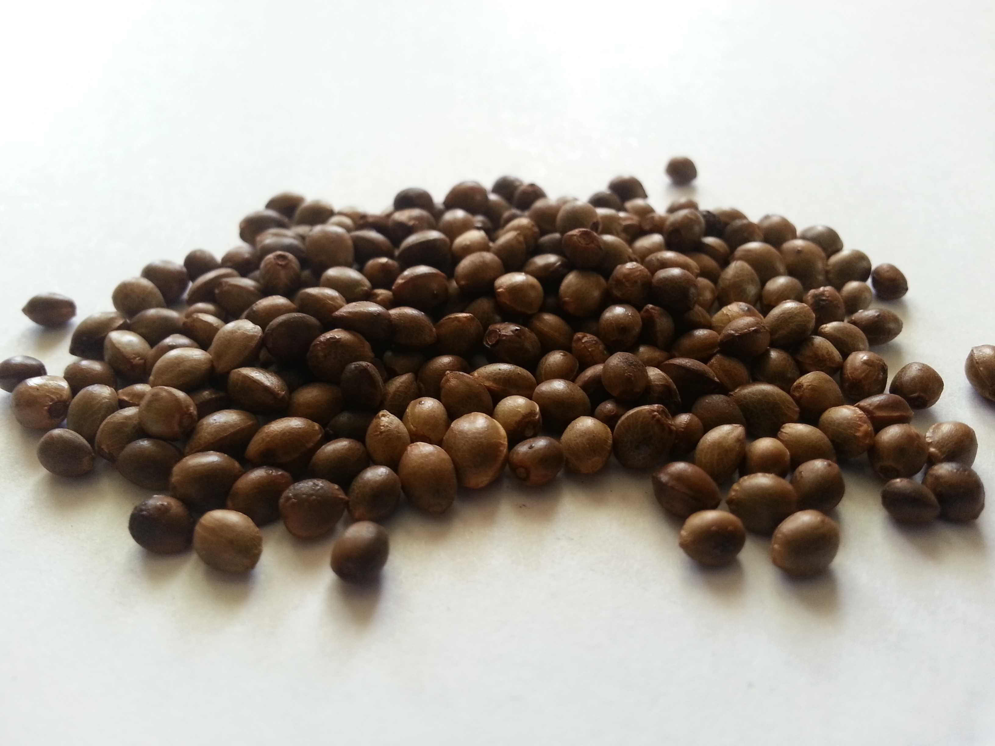 huo ma ren, cannabis semen.jpg