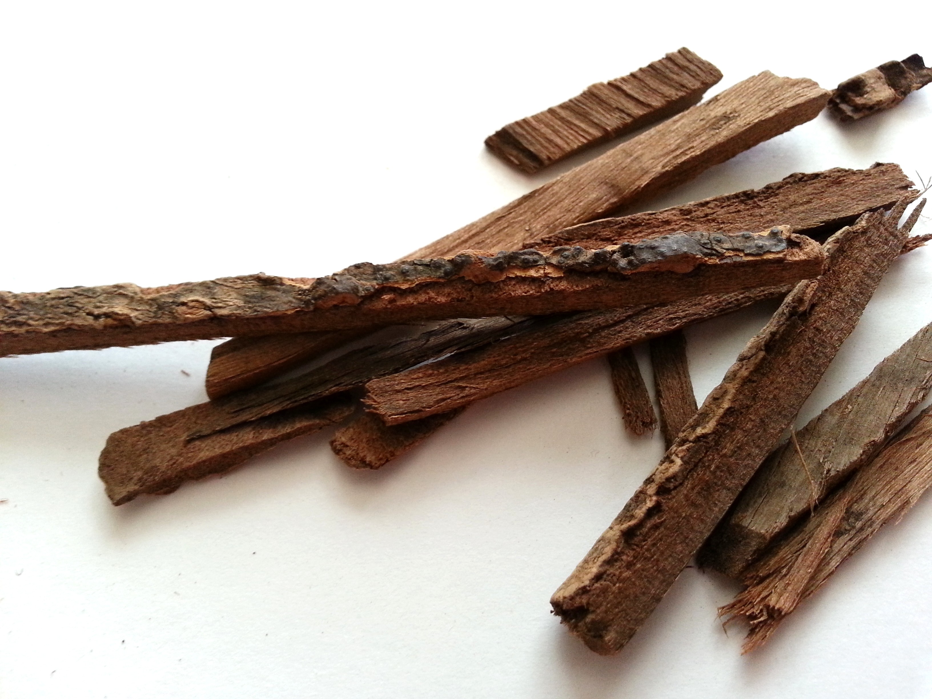 huo po, magnoliae officinalis cortex.jpg