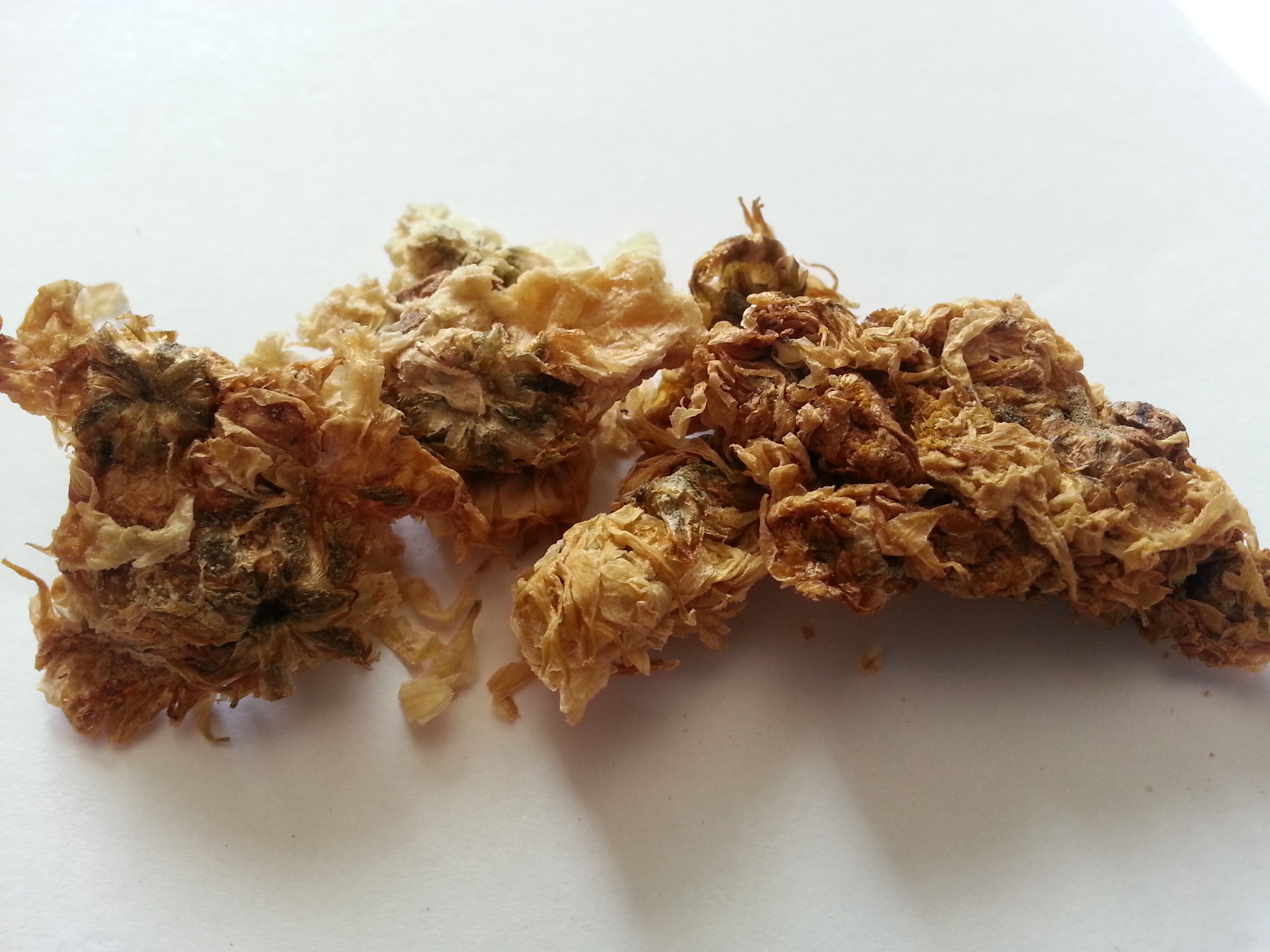 ju hua, chrysanthemi flos.jpg