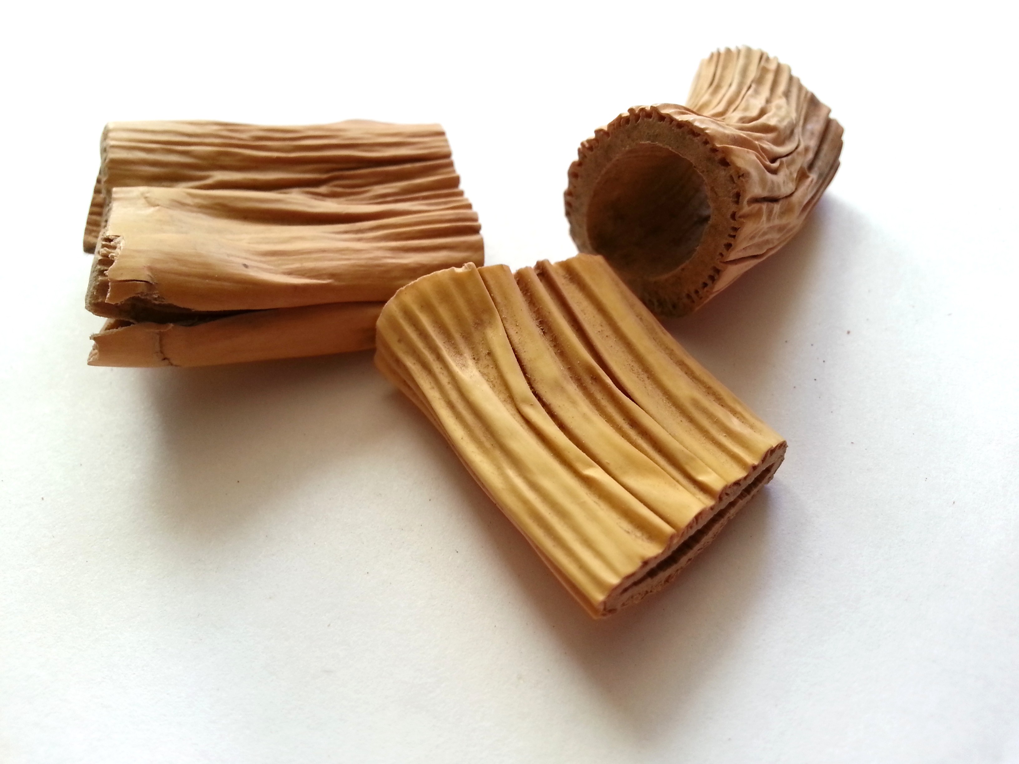 lu gen, phragmitis rhizoma.jpg