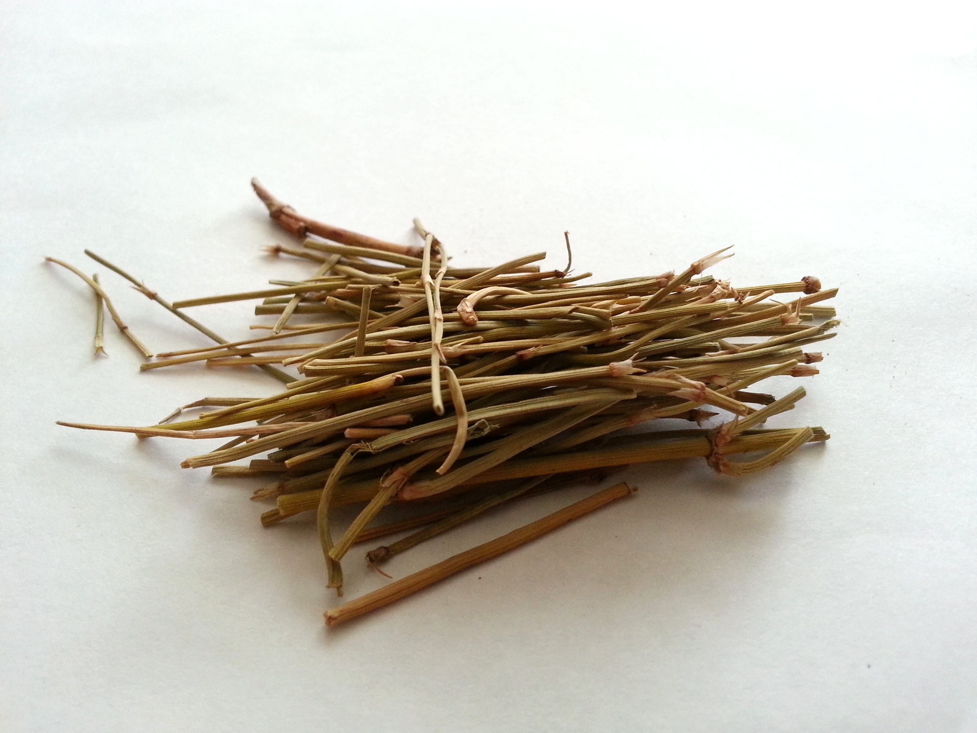 ma huang, ephedrae herba.jpg