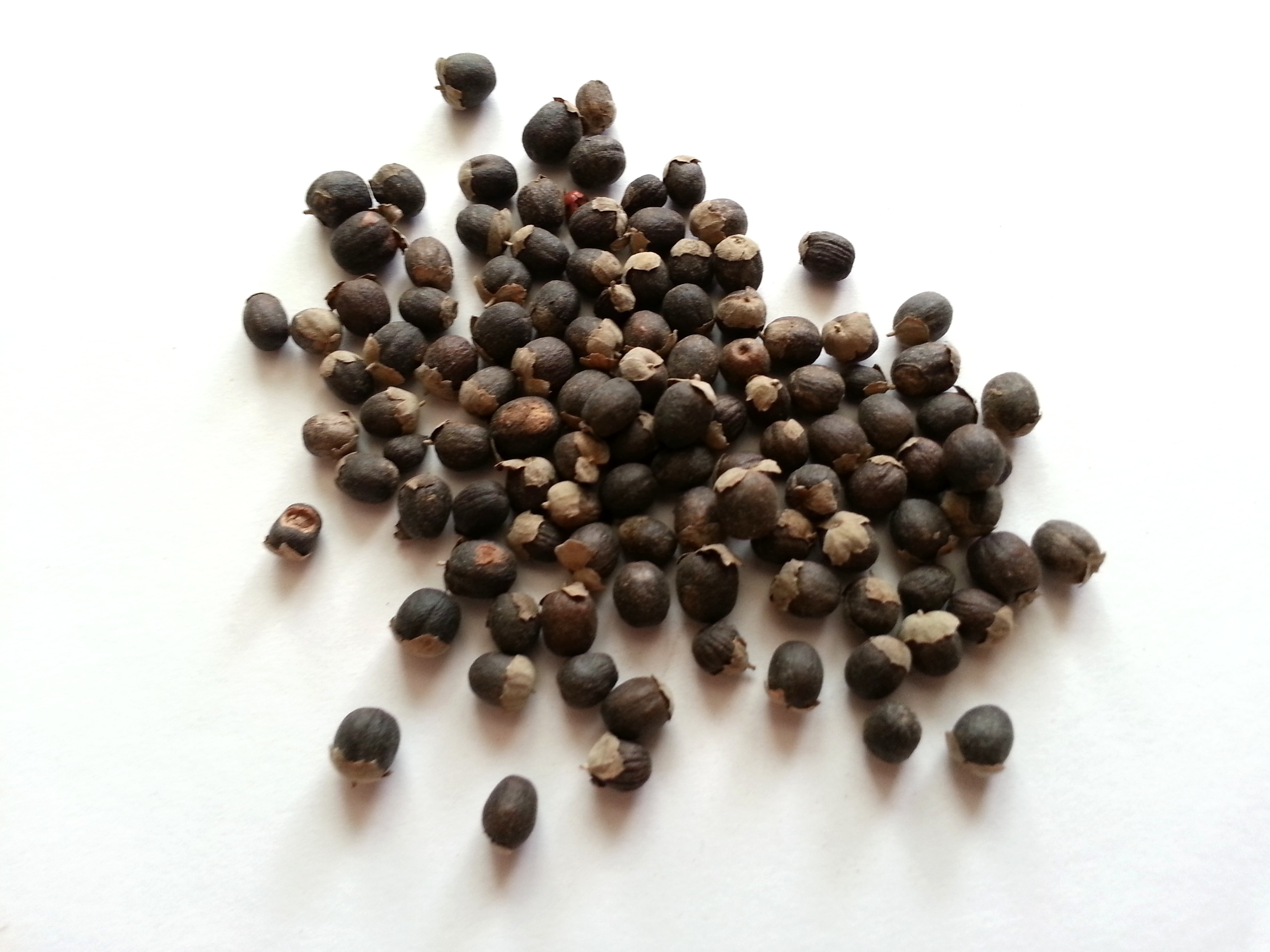 man jing zi, viticis fructus.jpg