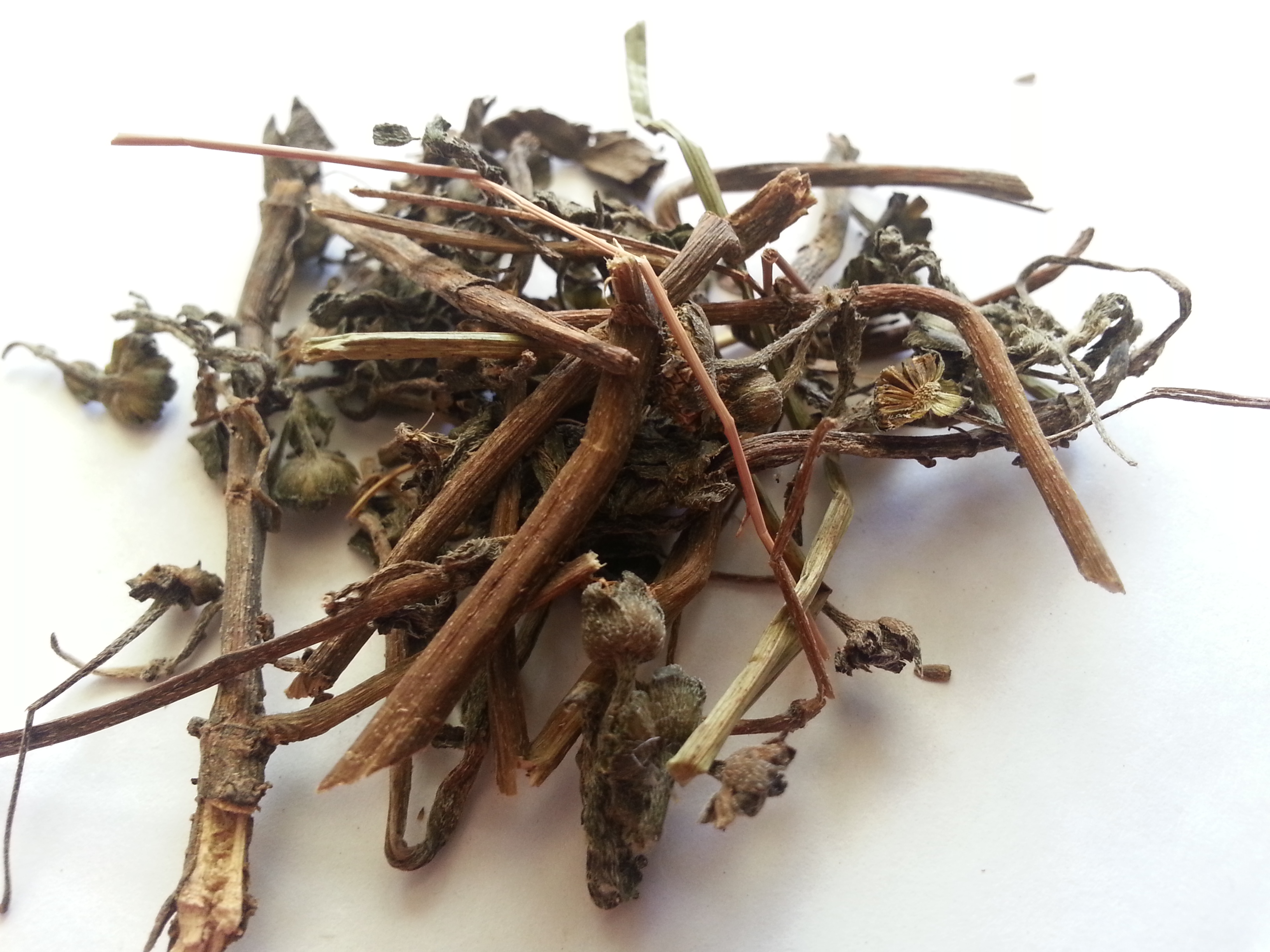 mo han lian, ecliptae herba.jpg