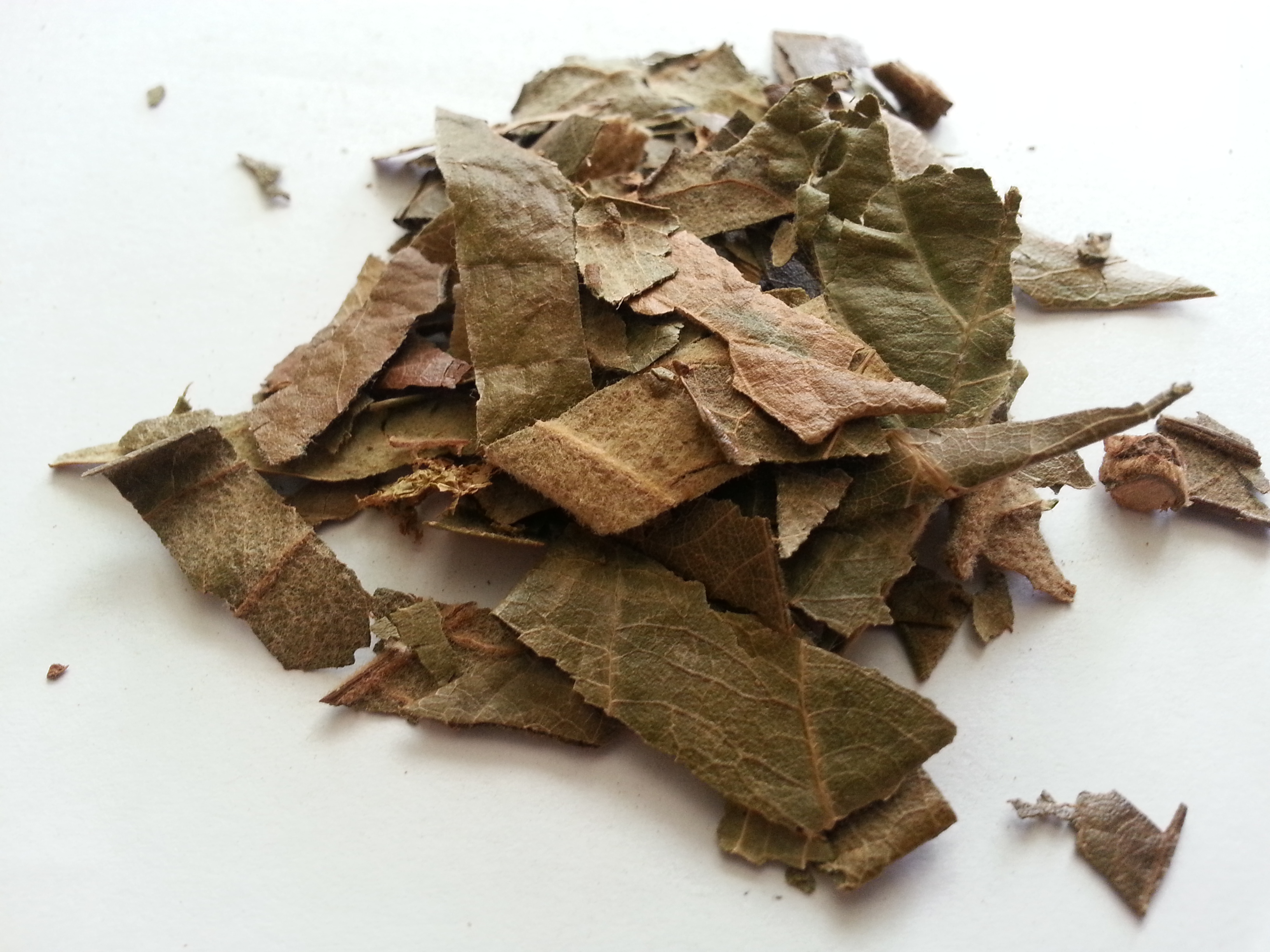 pi pa ye, eriobotryae folium.jpg