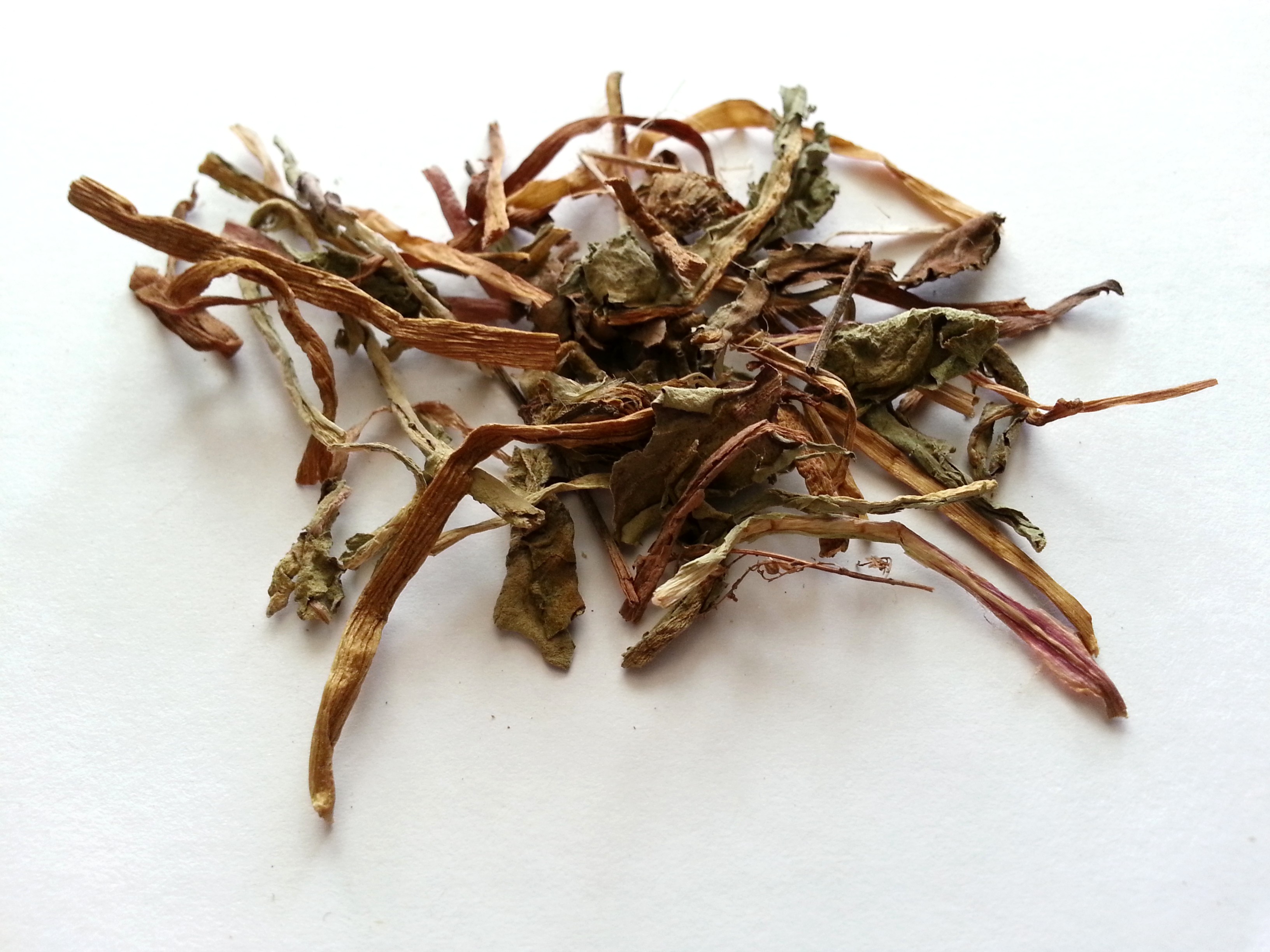 pu gong ying, taraxaci herba.jpg