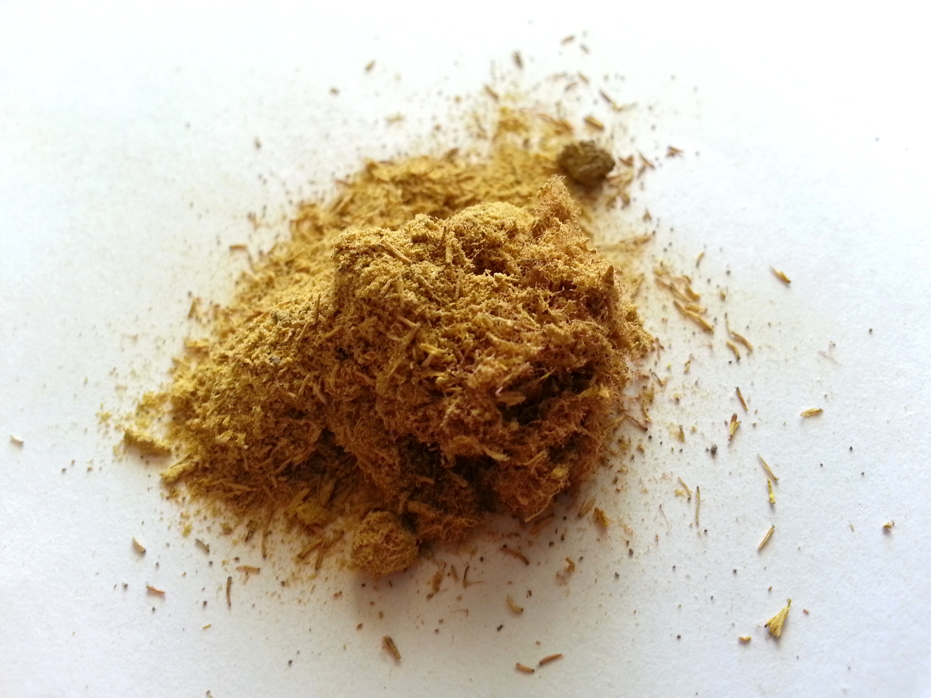 pu huang, typhae pollen(1).jpg
