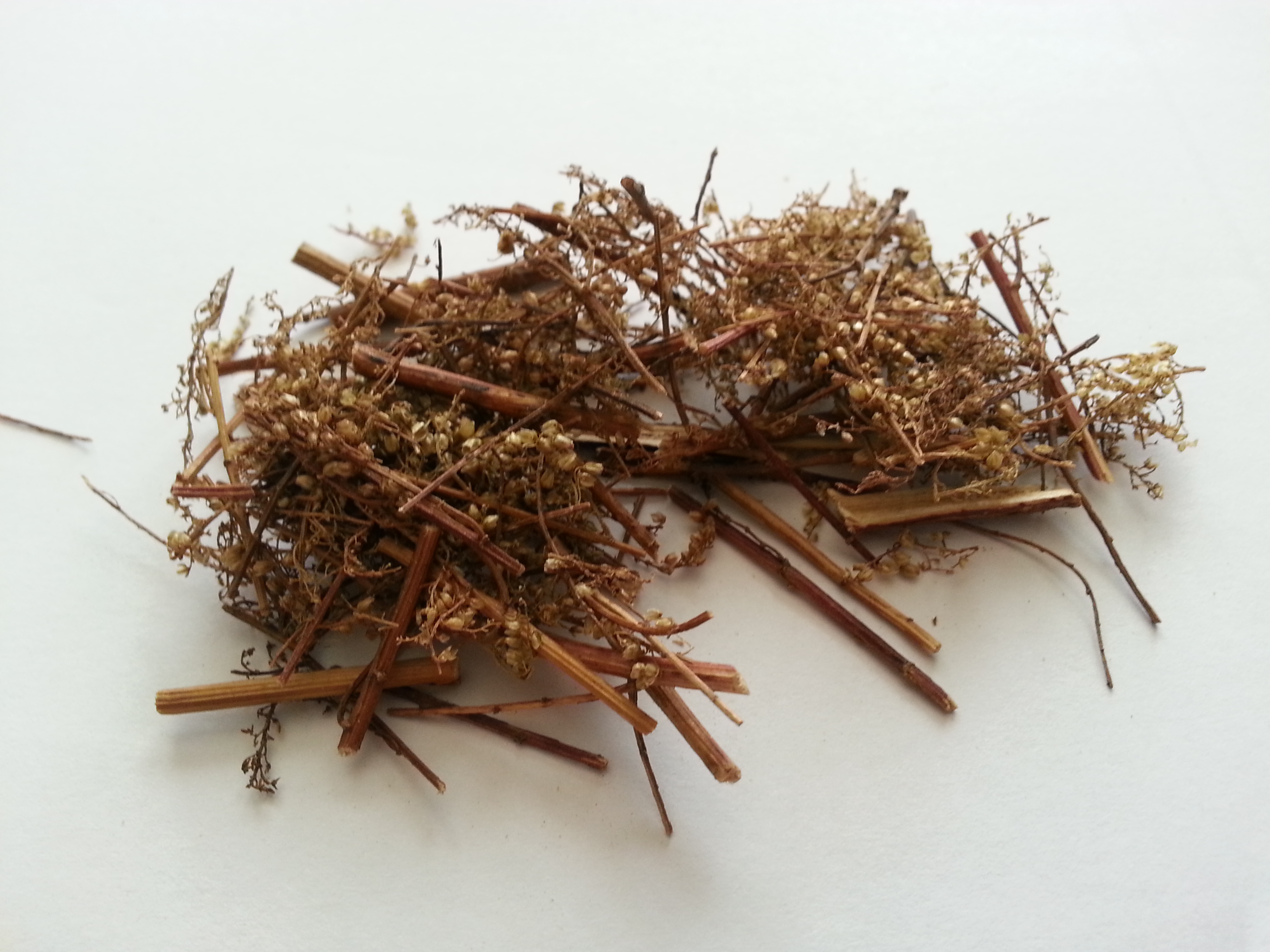 qing hao, artemisae herba.jpg