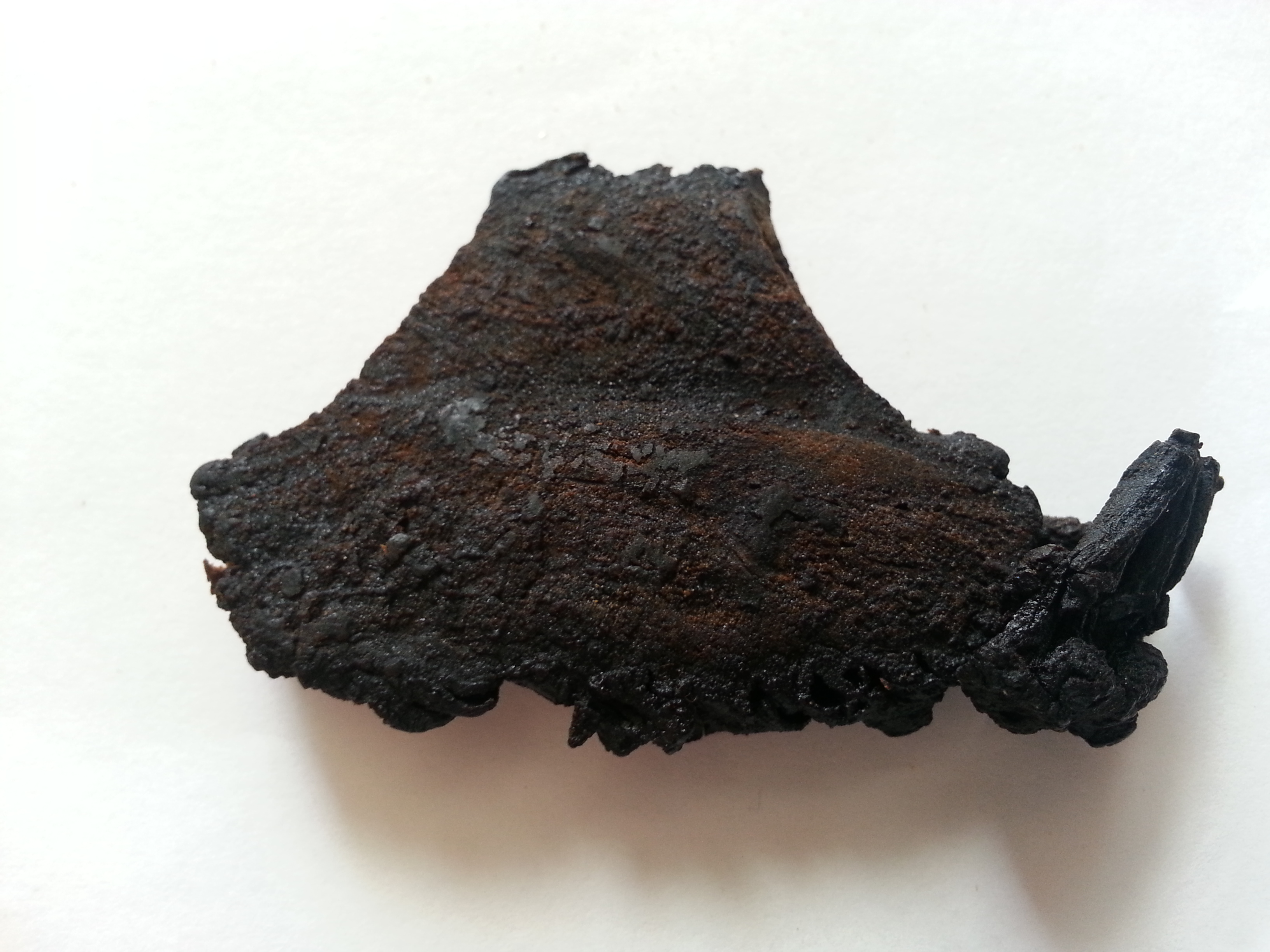 rou cong rong, cistanches herba.jpg