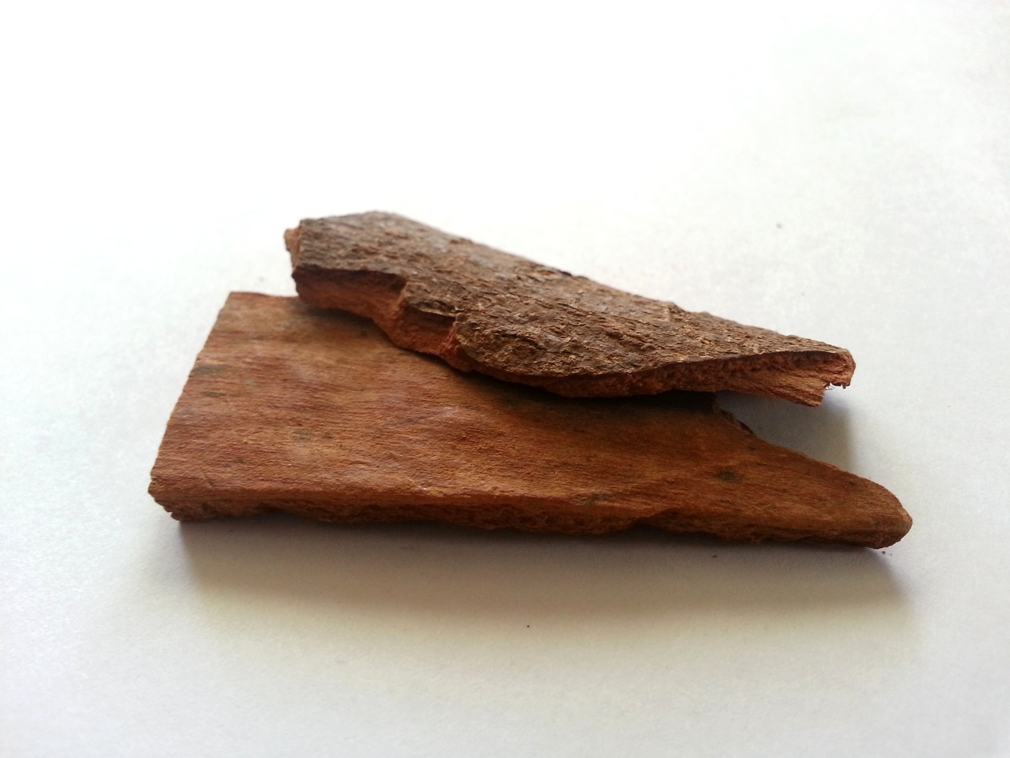 rou gui, cinnamomi cortex.jpg