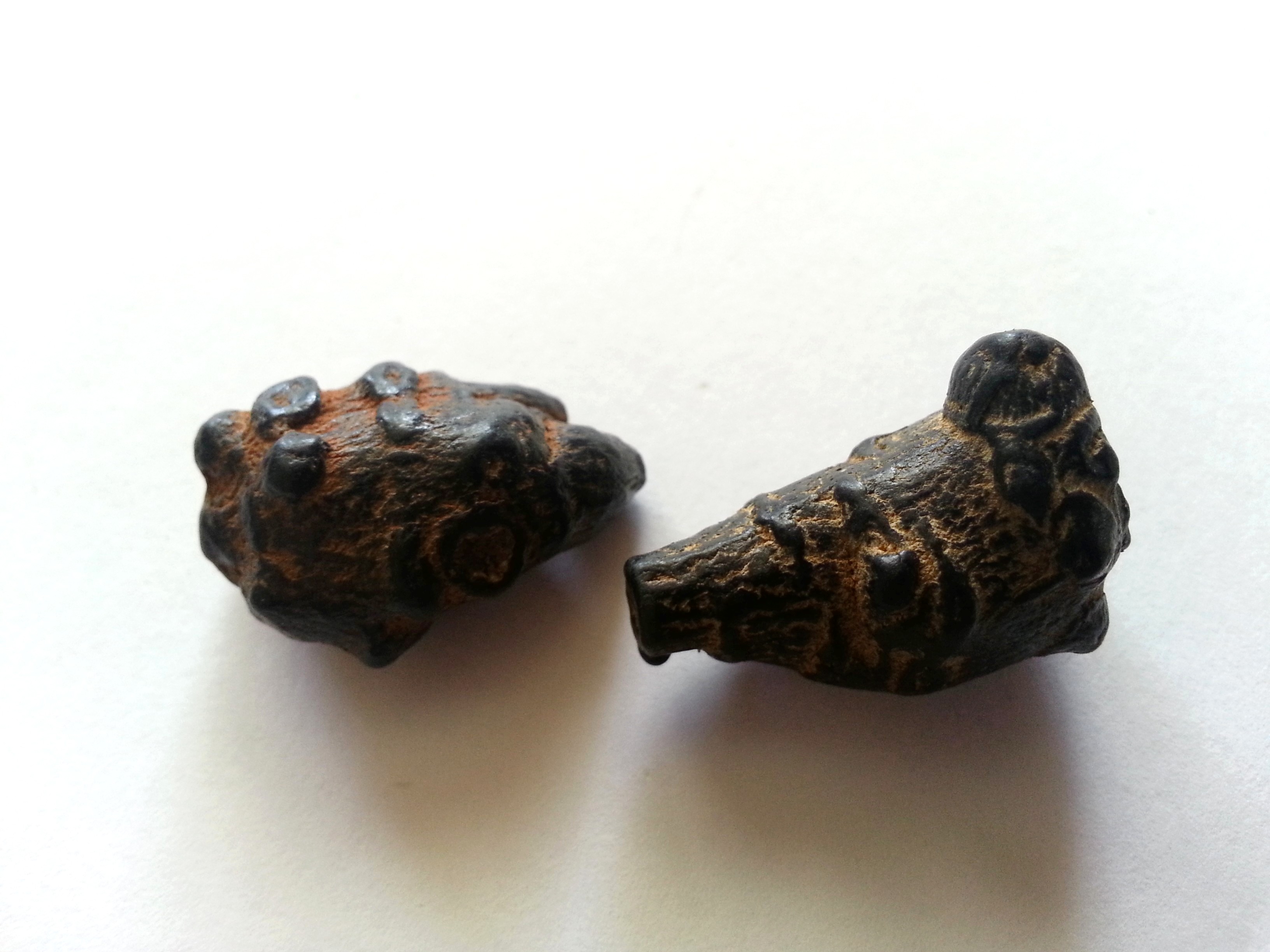 san qi, notoginseng radix.jpg