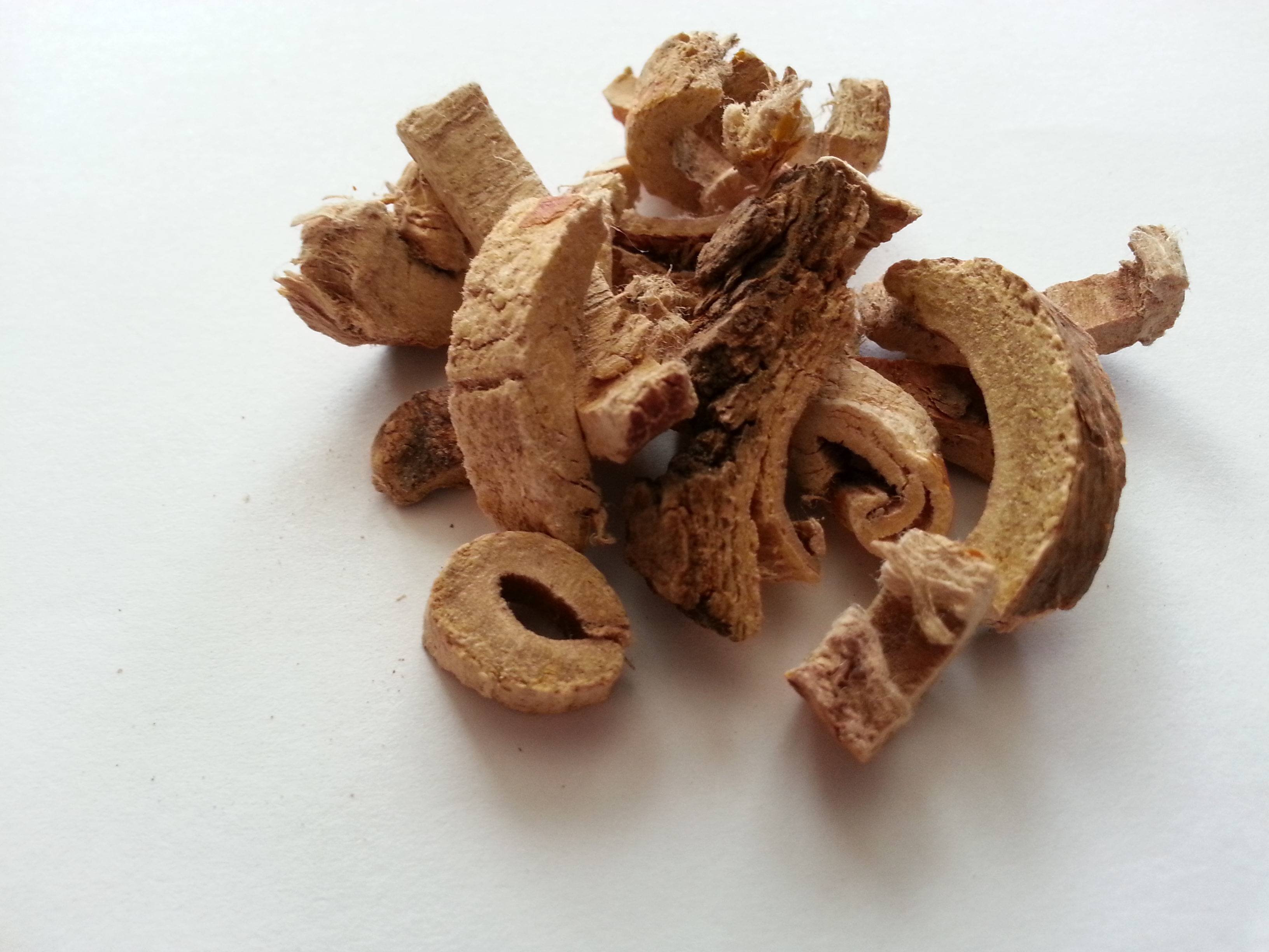 sang bai pi, mori cortex.jpg