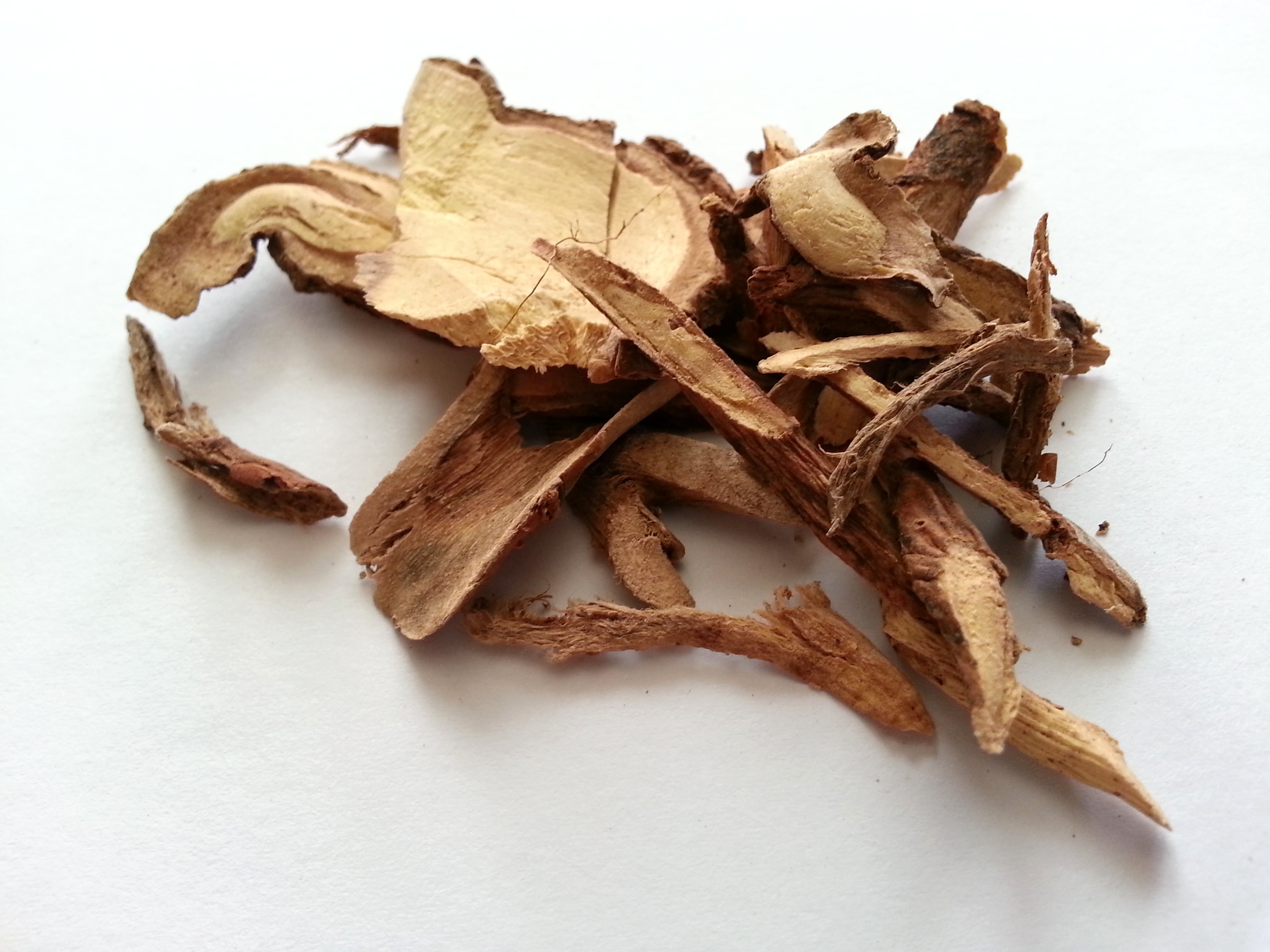shan dou gen, sophorae tonkinensis radix.jpg