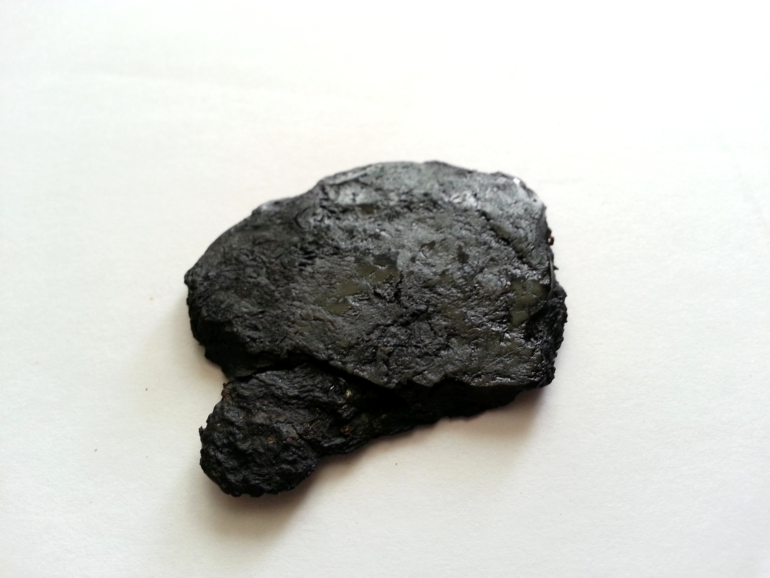 shu di huang. rehmanniae radix preparata.jpg