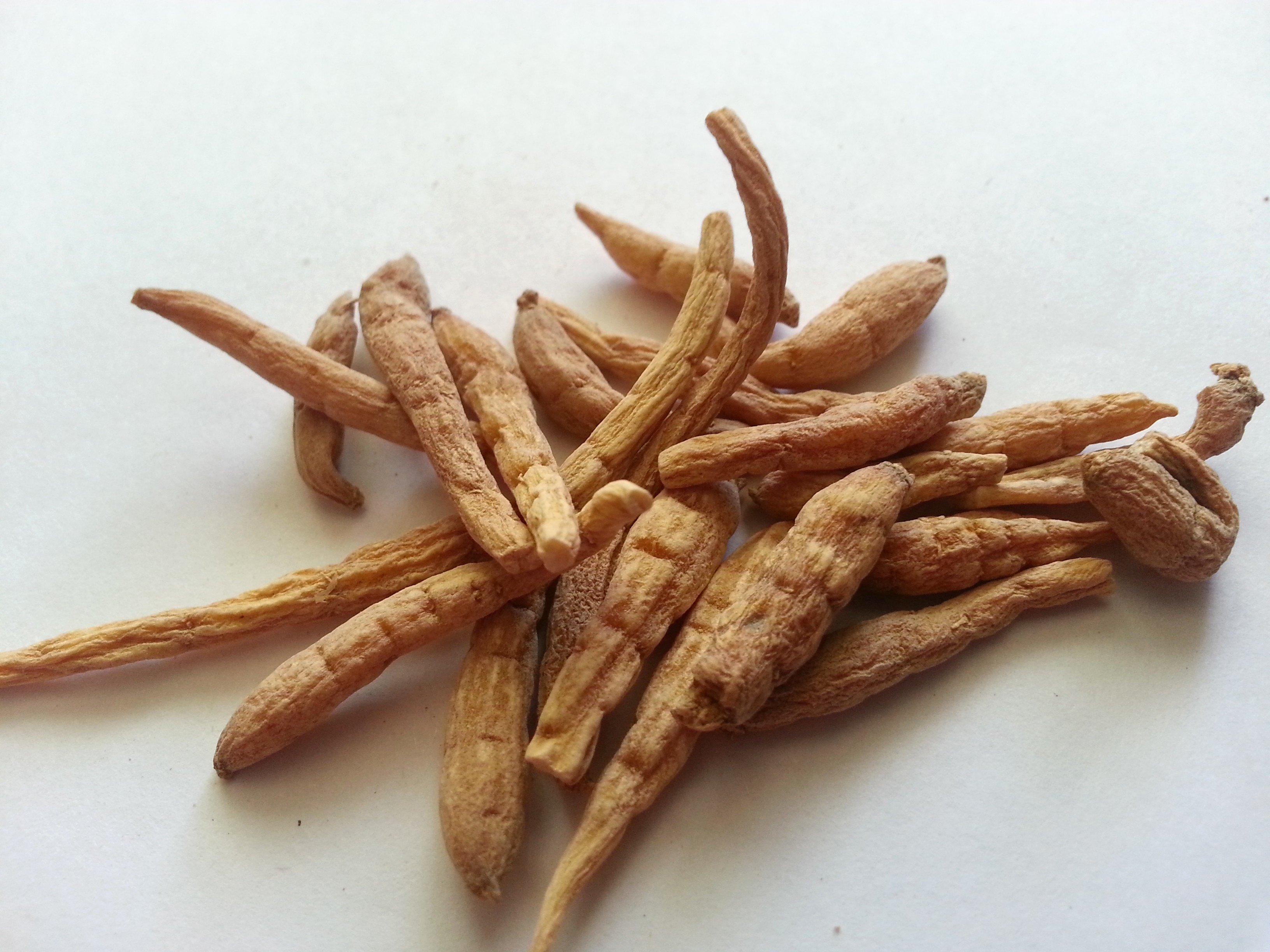 tai zi shen, pseudostellariae radix.jpg
