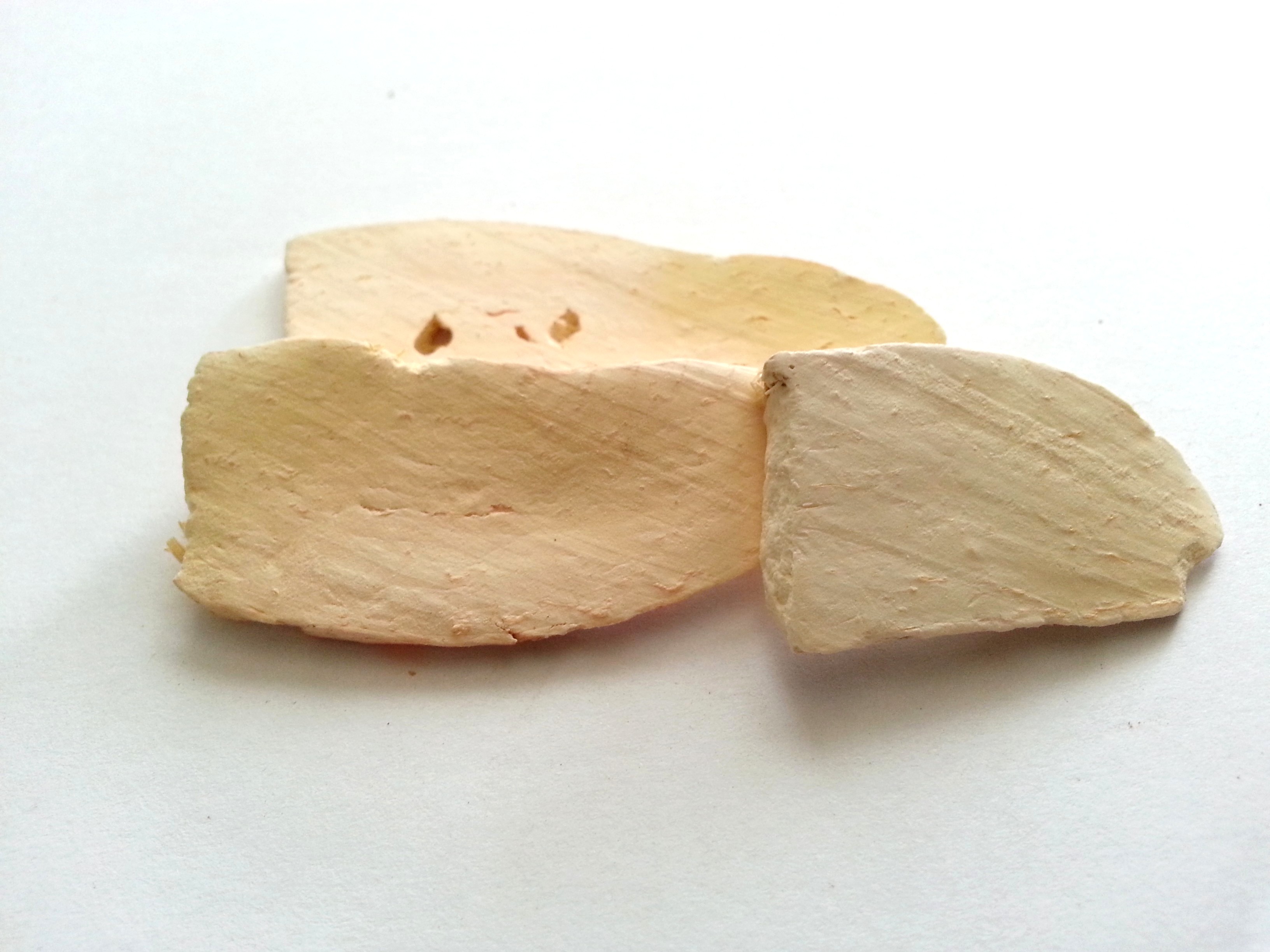 tian hua fen, trichosanthis radix.jpg