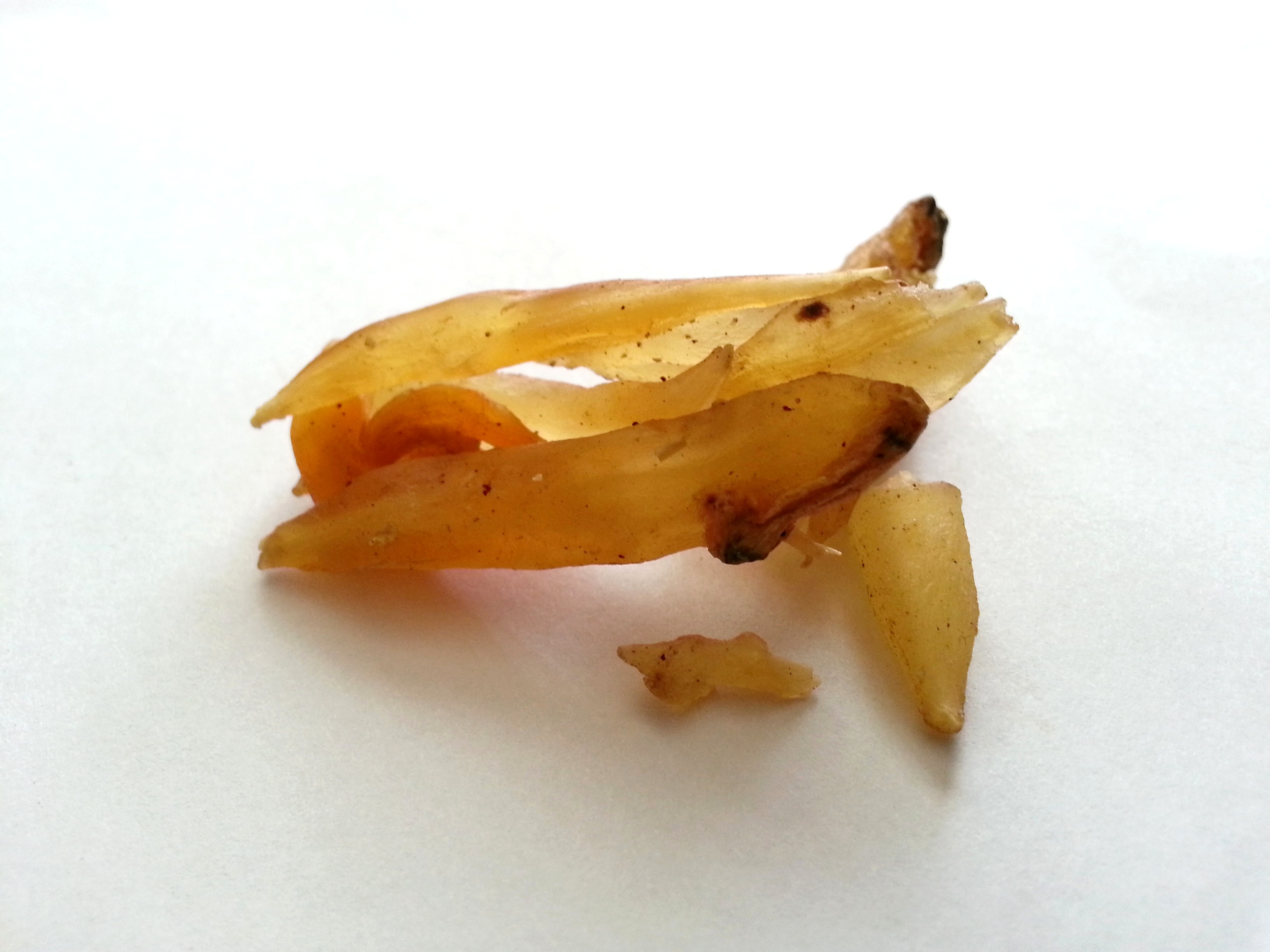 tian men dong, asparagi radix.jpg