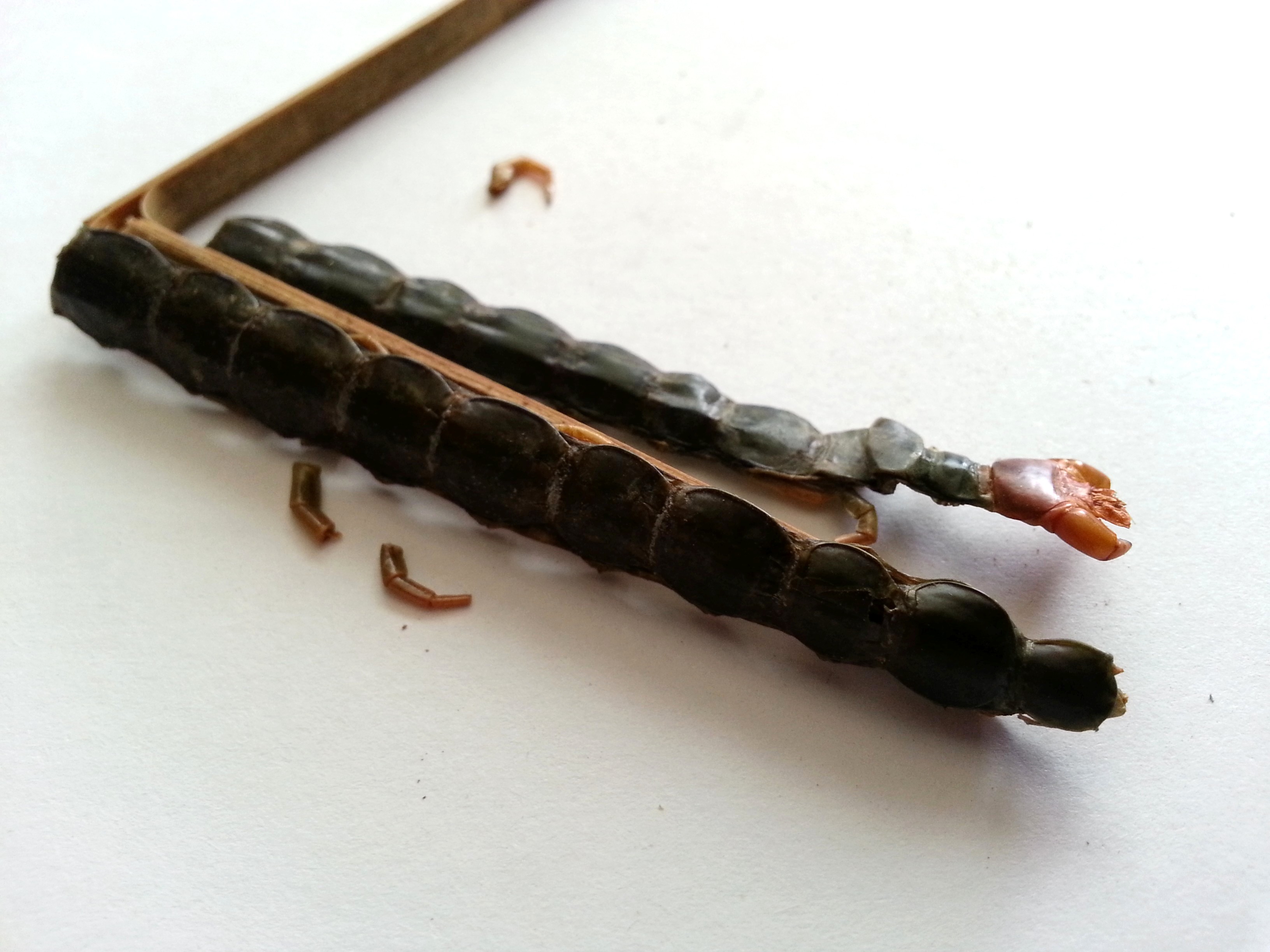 wu gong, scolopendra.jpg