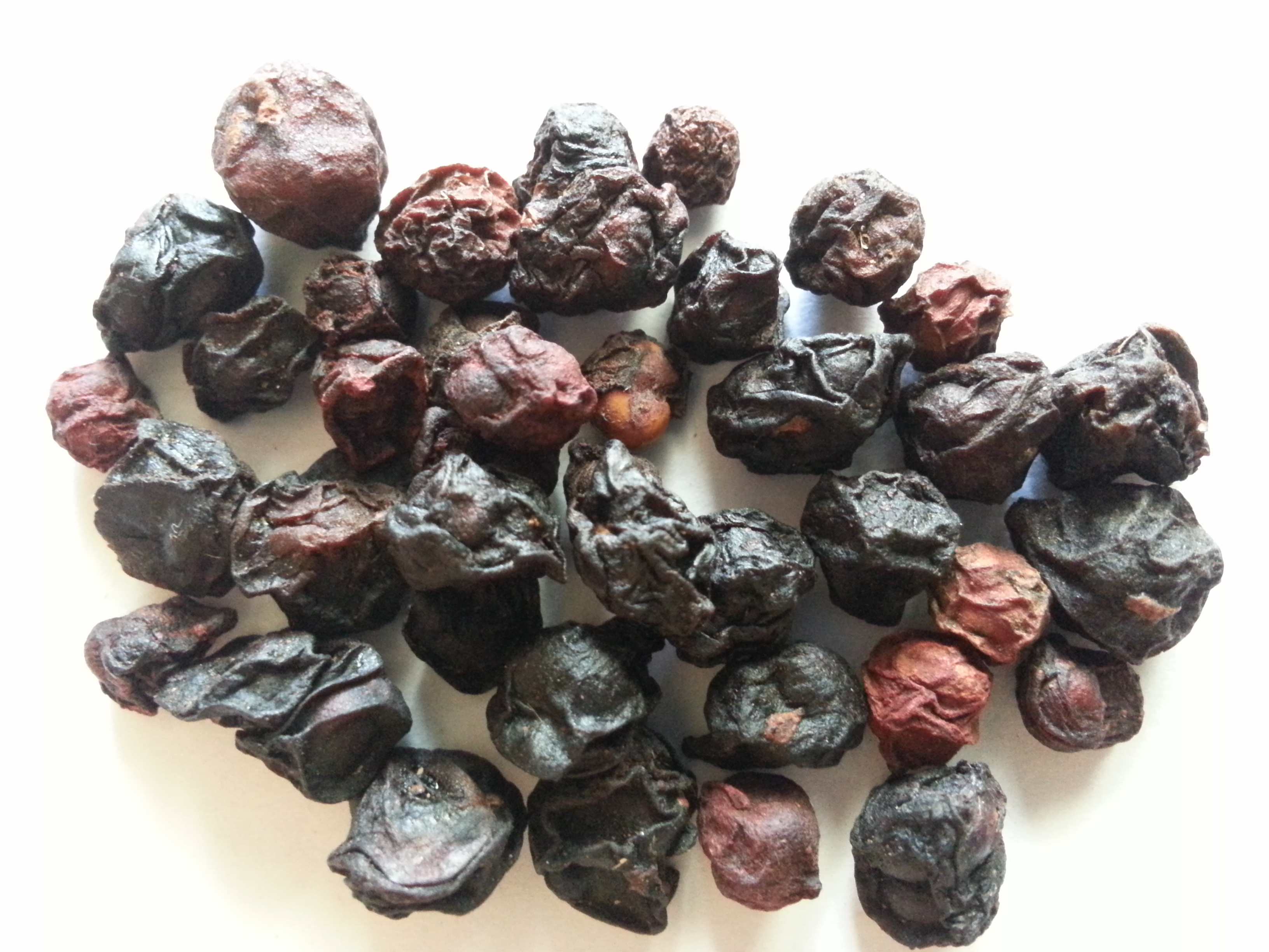 wu wei zi, schisandrae fructus.jpg