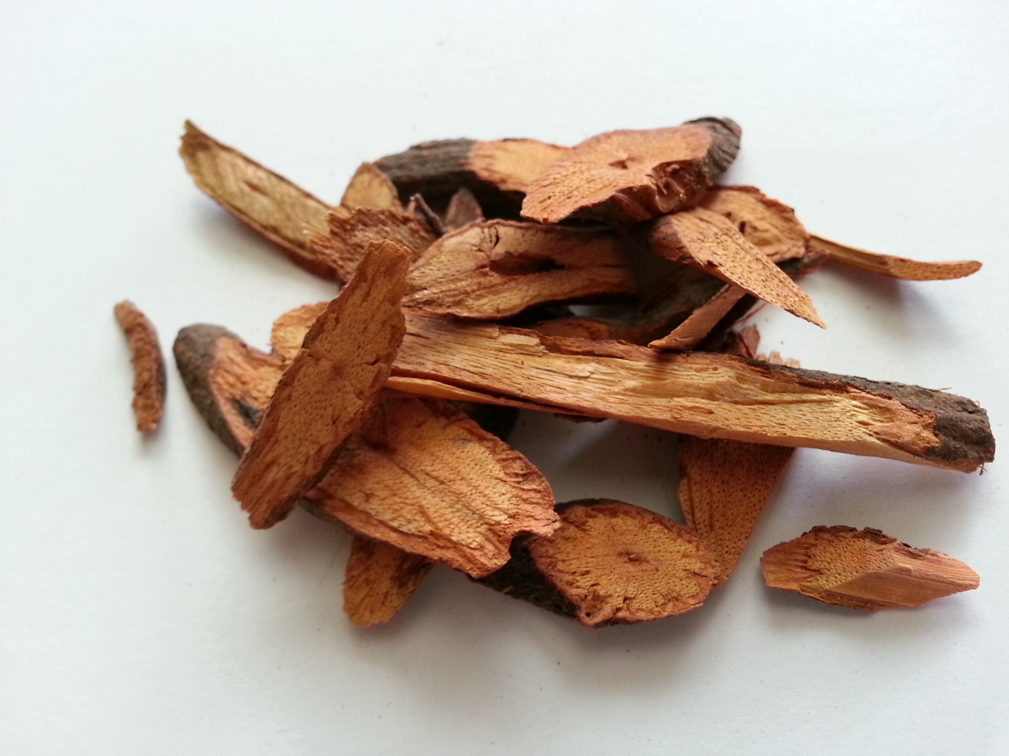 ye jiao teng, polygoni multiflori caulis.jpg