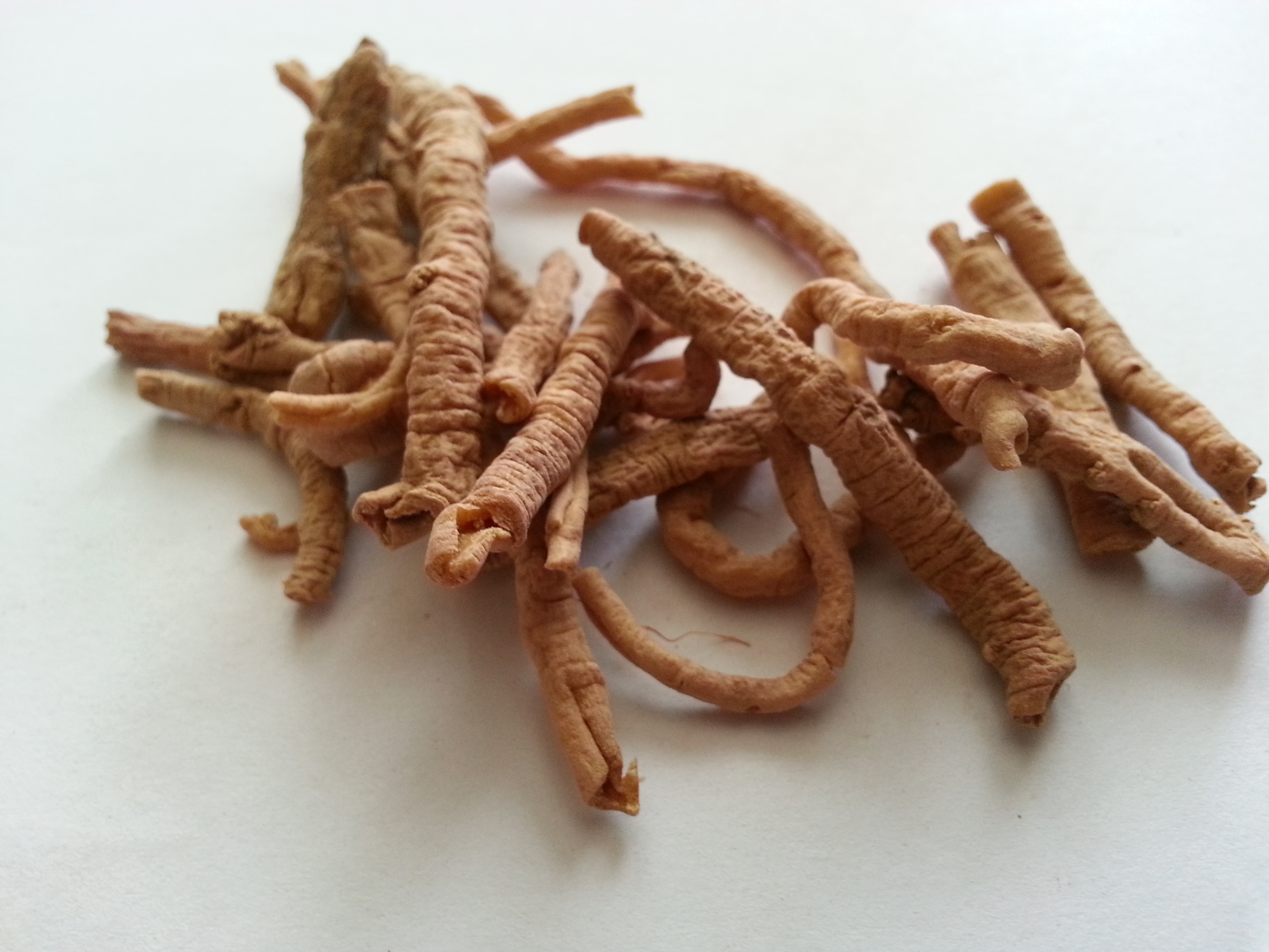yuan zhi, polygalae radix.jpg
