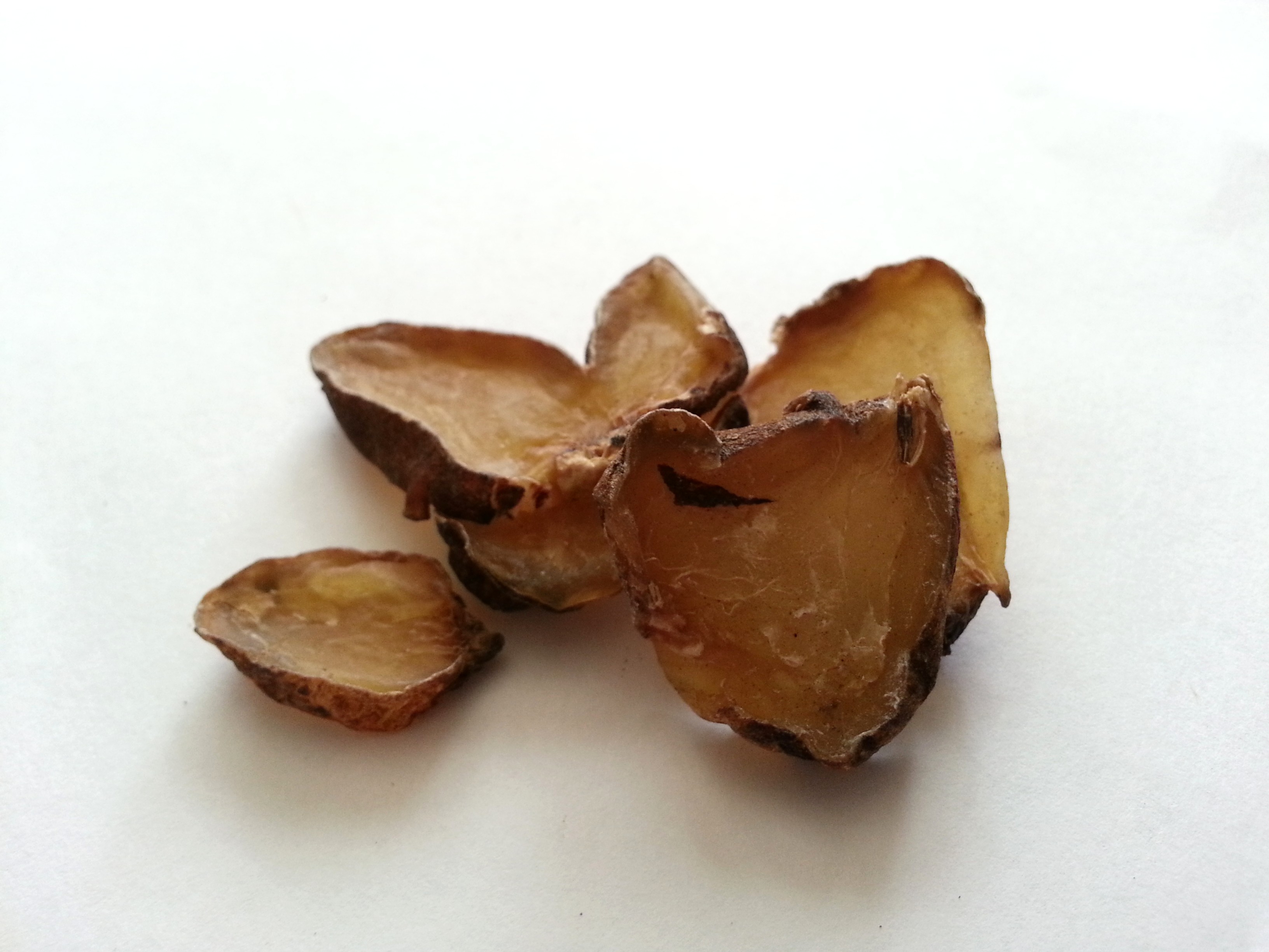 zhi fu zi, aconiti radix lateralis preparata.jpg