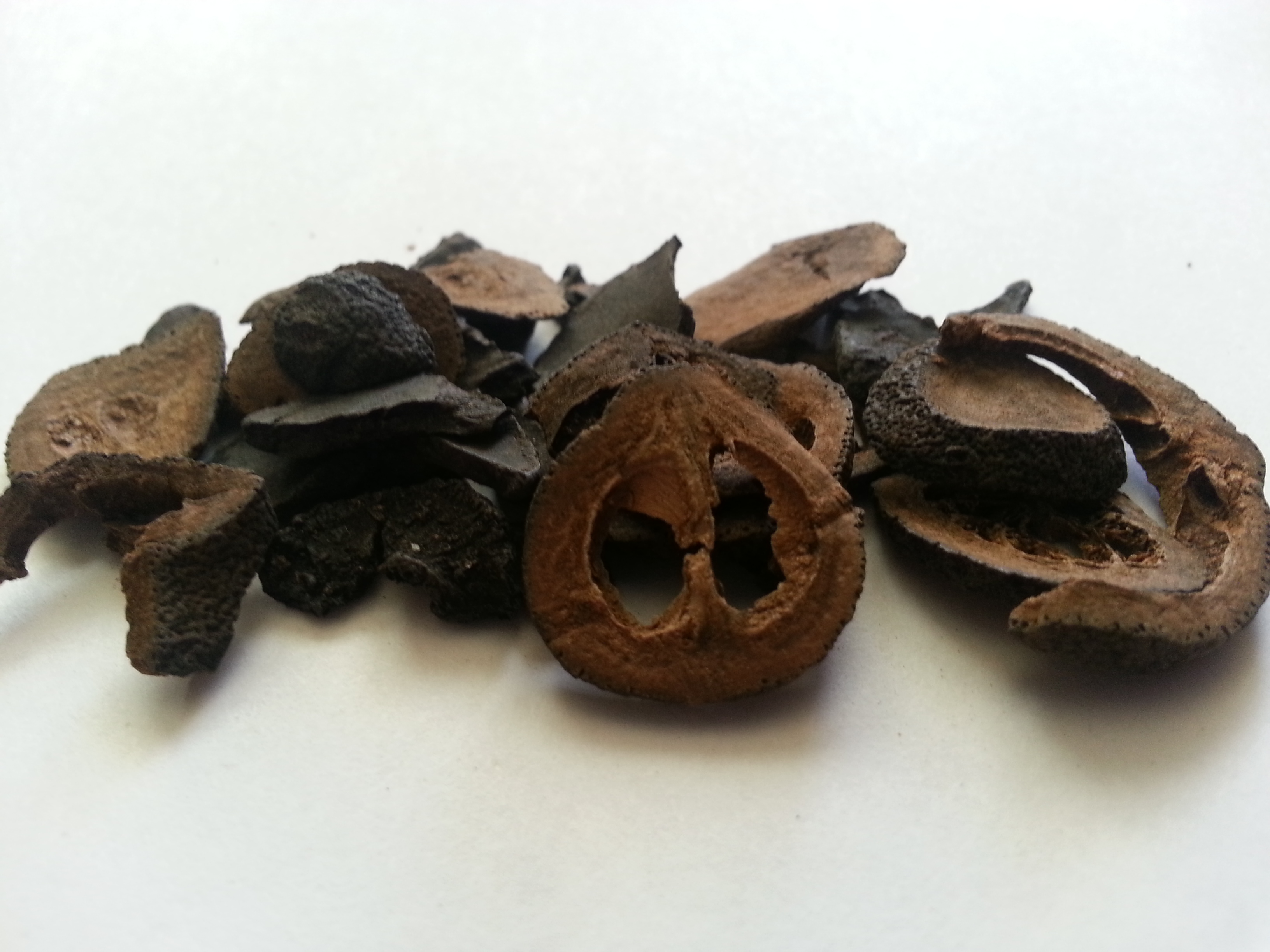 zhi shi, aurantii fructus immaturus.jpg